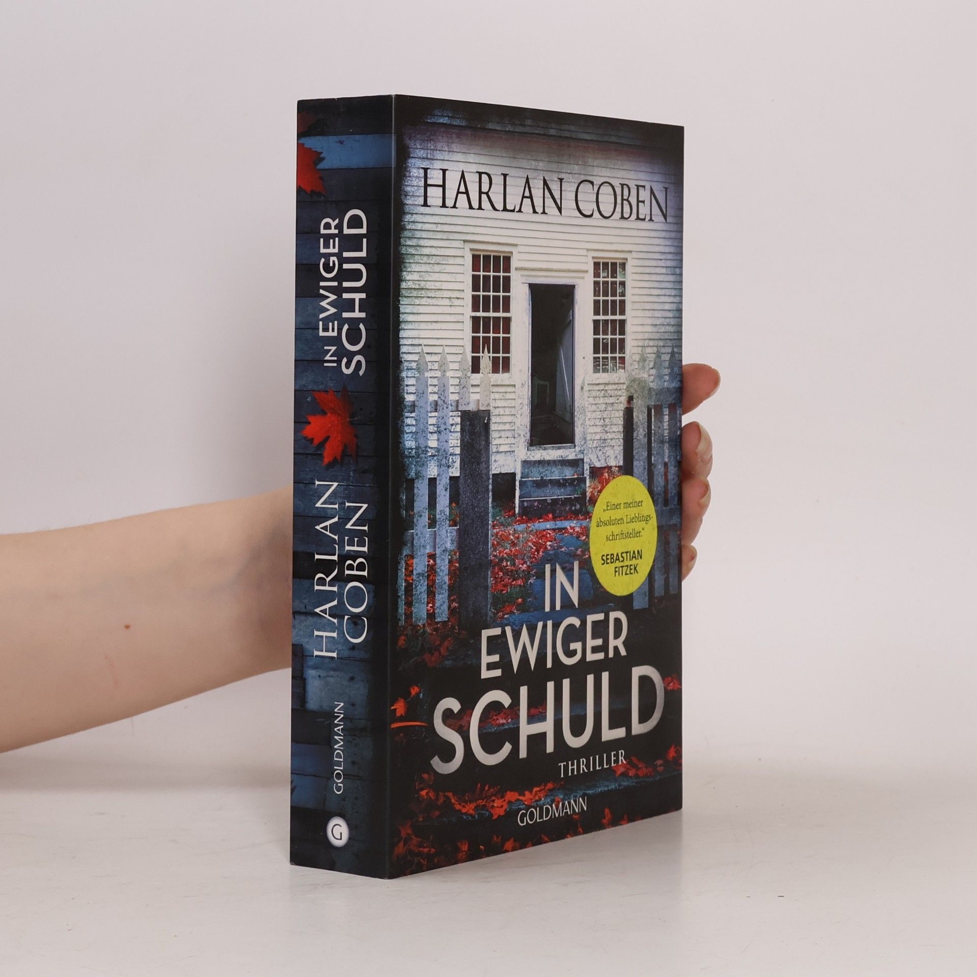 Harlan Coben In ewiger Schuld