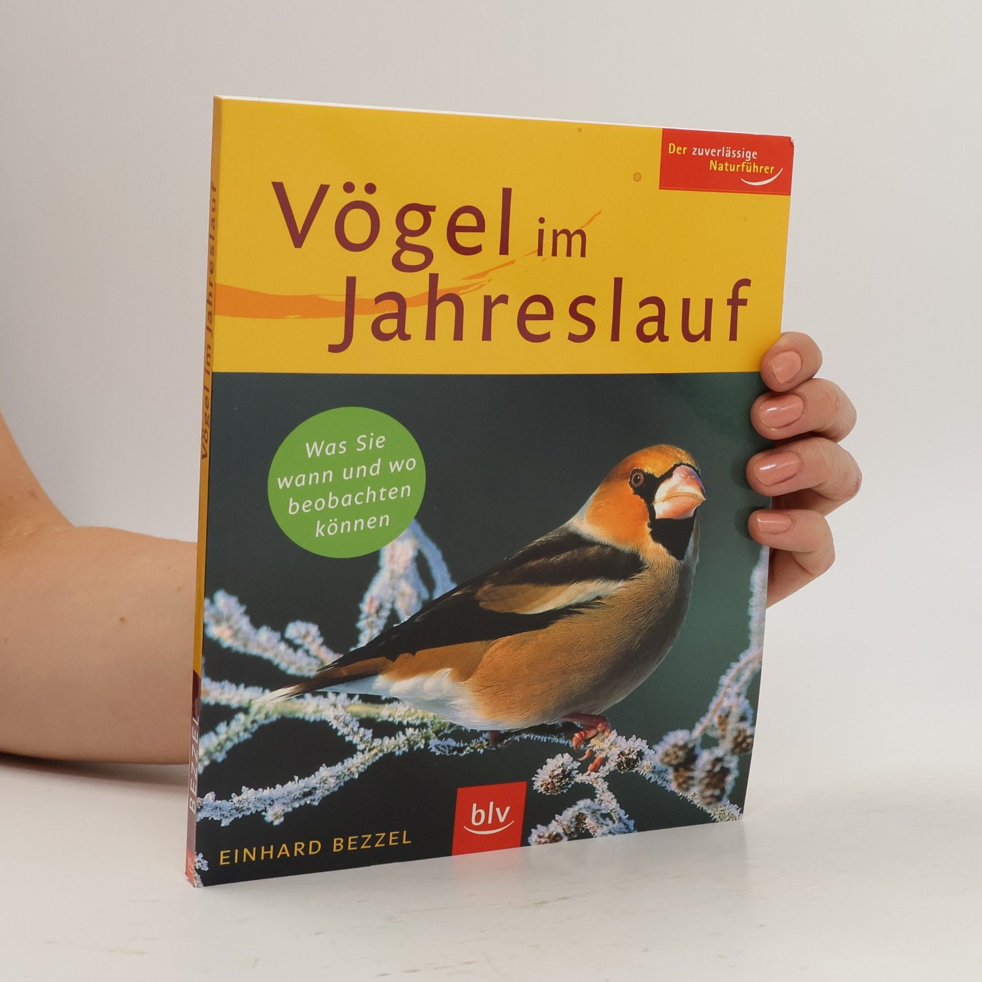 Einhard Bezzel Vögel im Jahreslauf