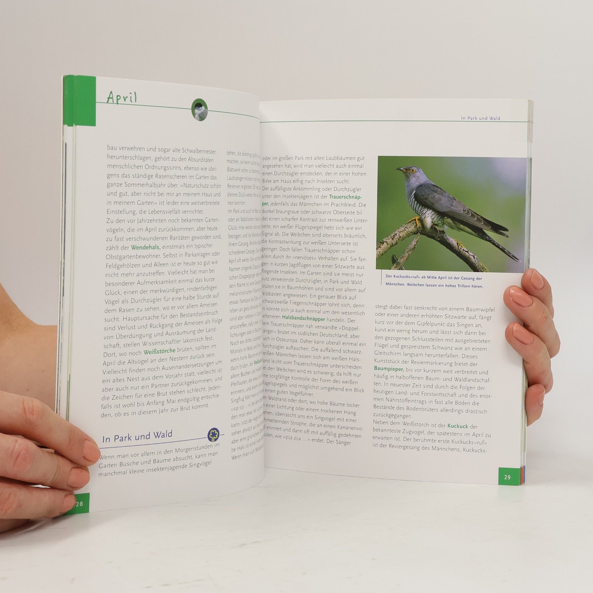 Einhard Bezzel Vögel im Jahreslauf