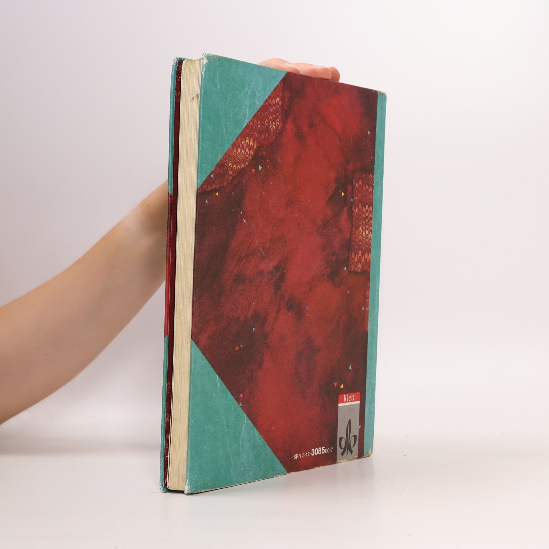 Elke Bleier Staudt Unterwegs, Lesebuch, Allgemeine Ausgabe, neue Rechtschreibung, 5. Schuljahr