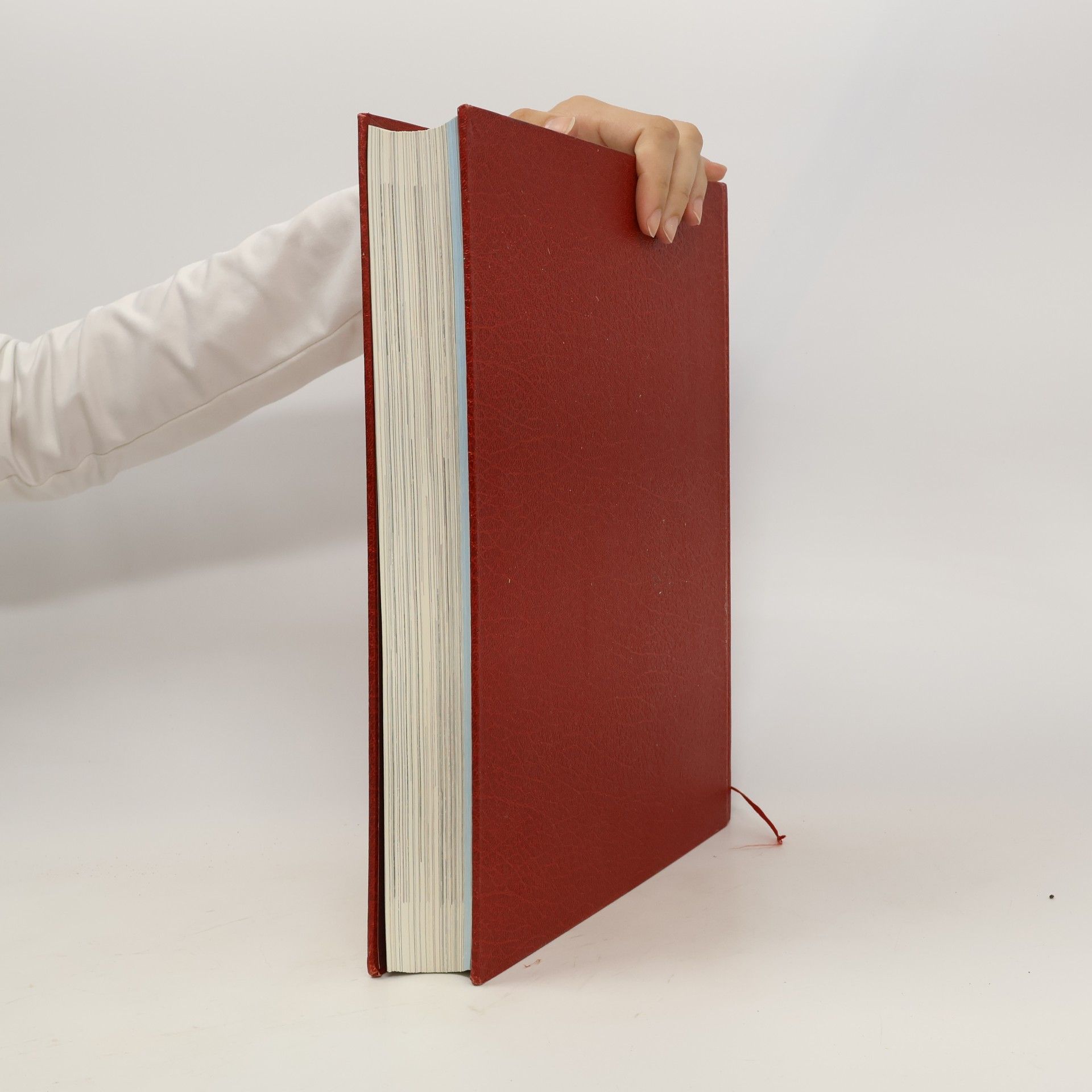 Autorenkollektiv Die Bibel 2