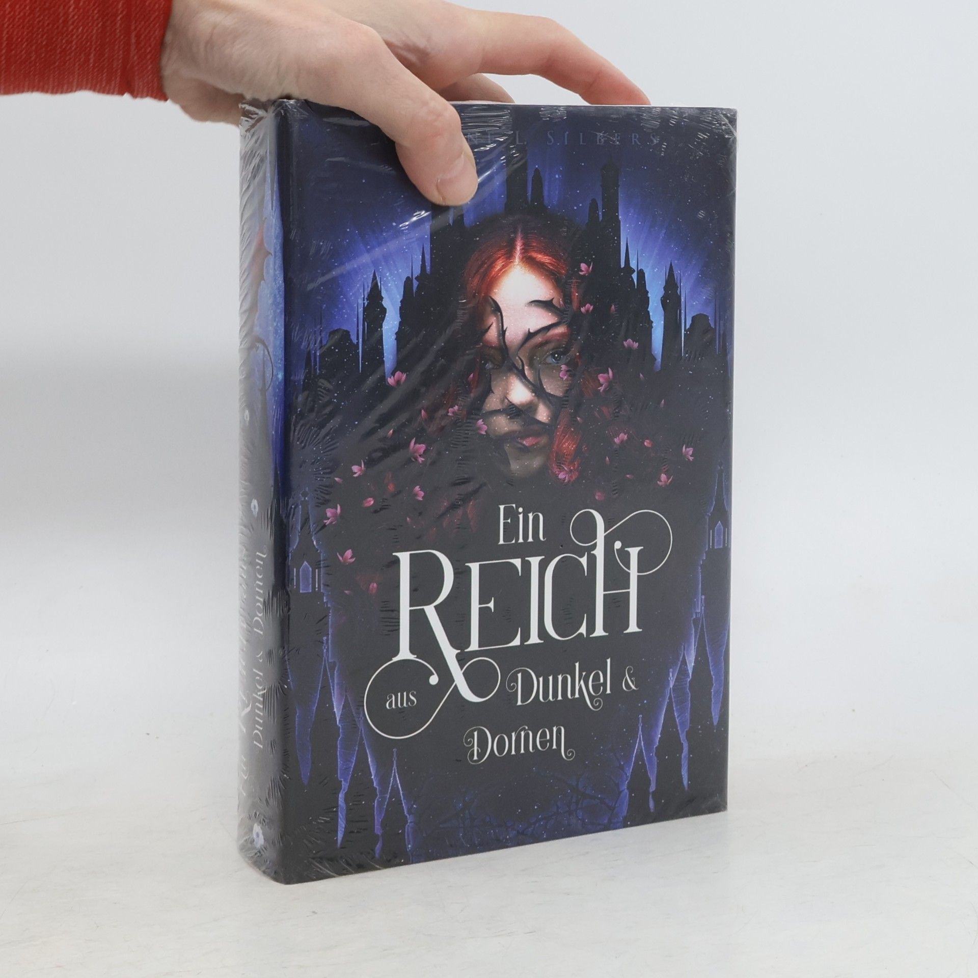 Arianne L. Silbers Ein Reich aus Dunkel & Domen