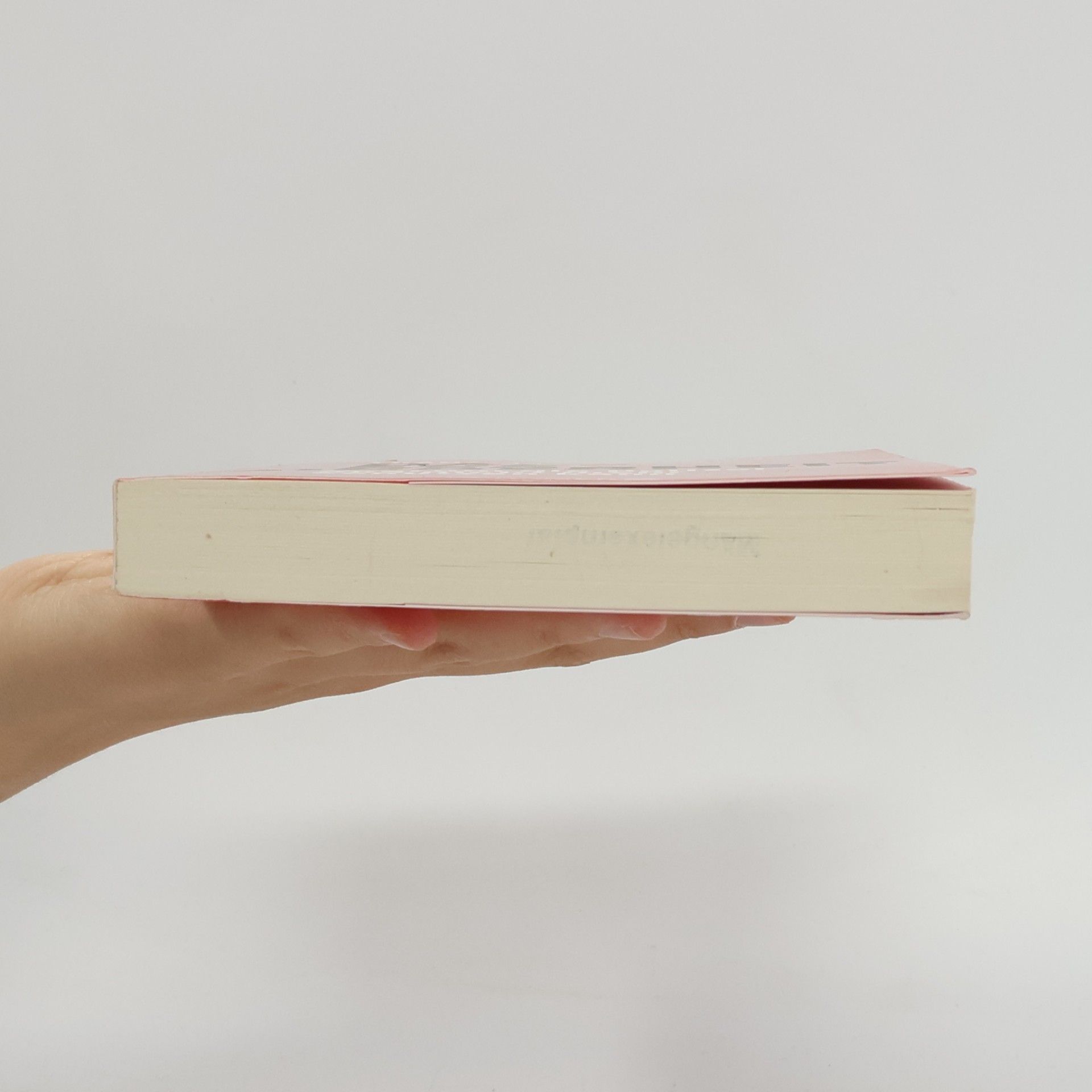 Franz Solms Laubach Das Ende der Sicherheit