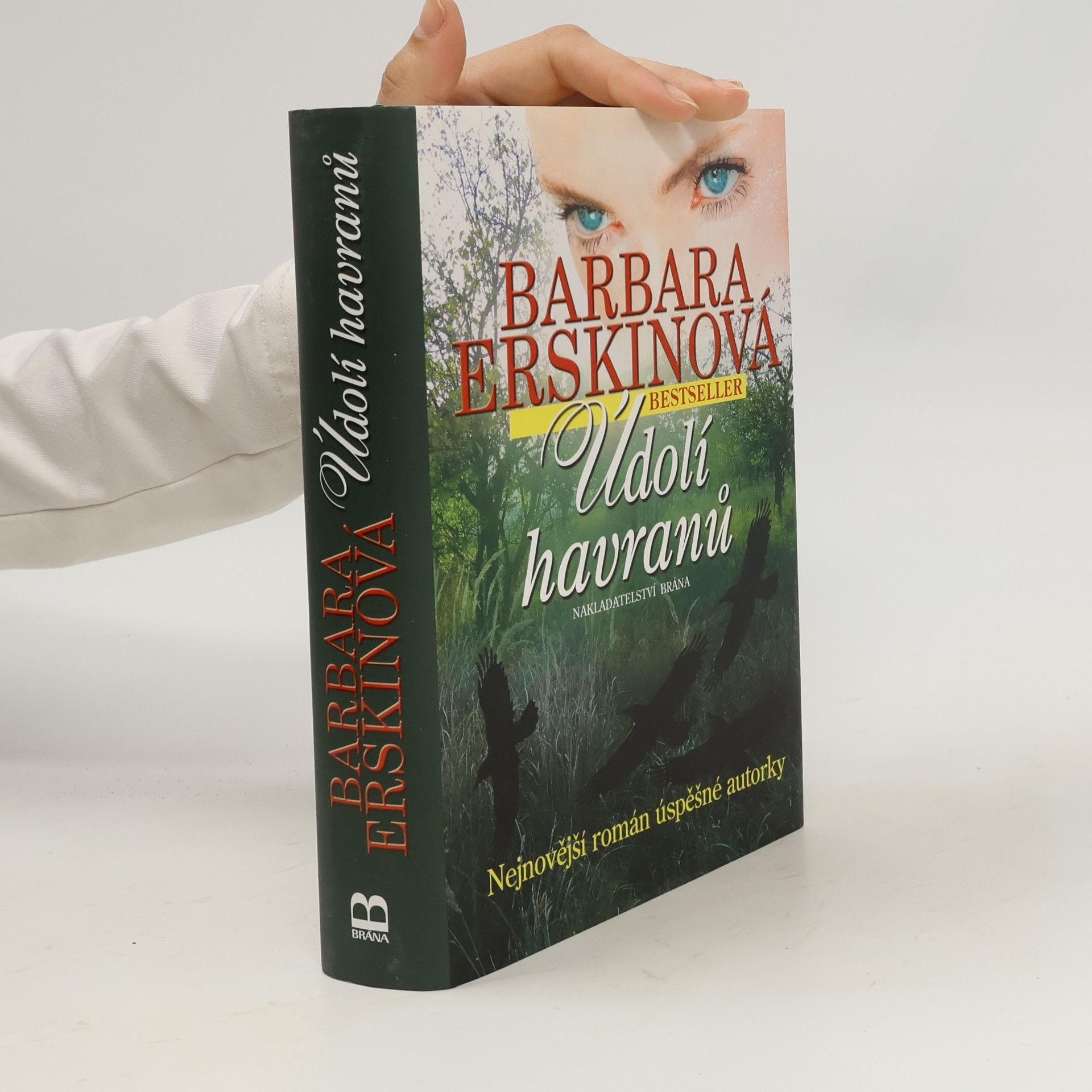 Barbara Erskine Údolí havranů