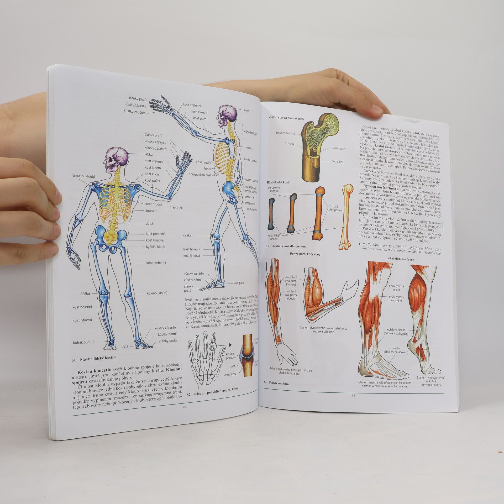 Danuše Kvasničková Základy biologie a ekologie pro základní a střední školy