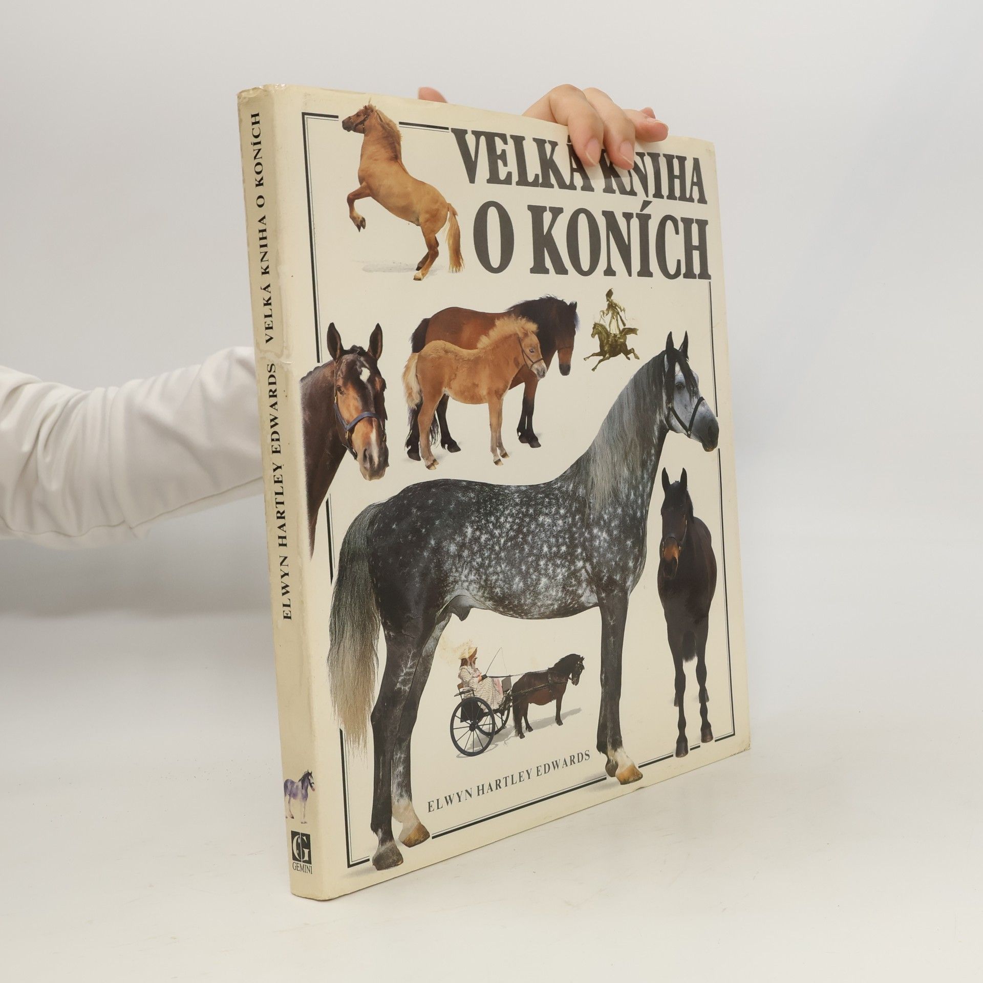 Elwyn Hartley Edwards Velká kniha o koních