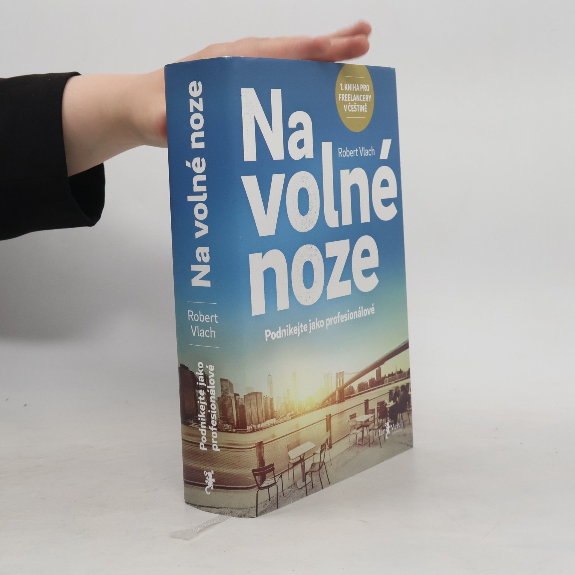 Robert Vlach (podnikatel) Na volné noze