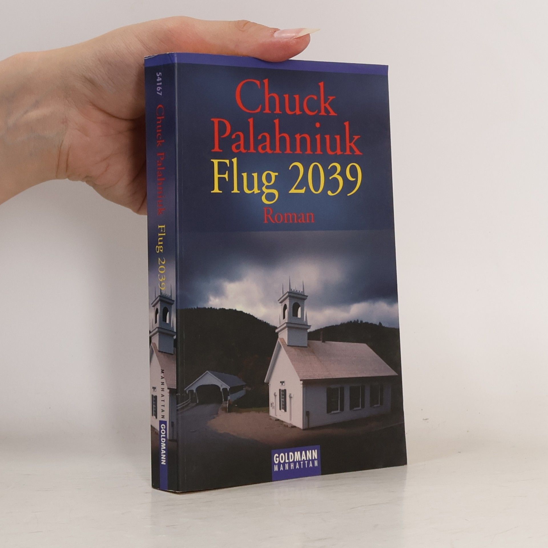 Chuck Palahniuk Flug 2039