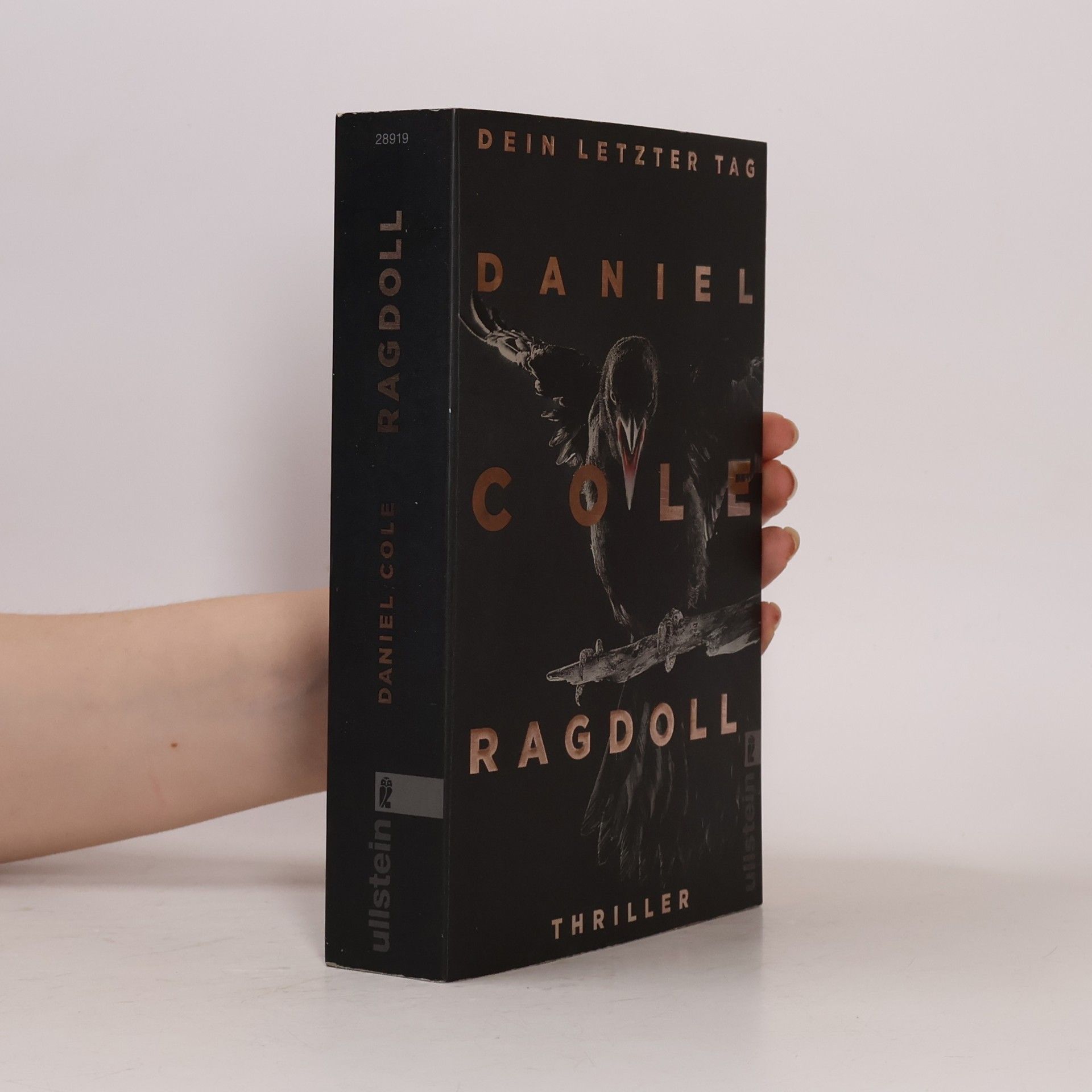 Daniel Cole Ragdoll