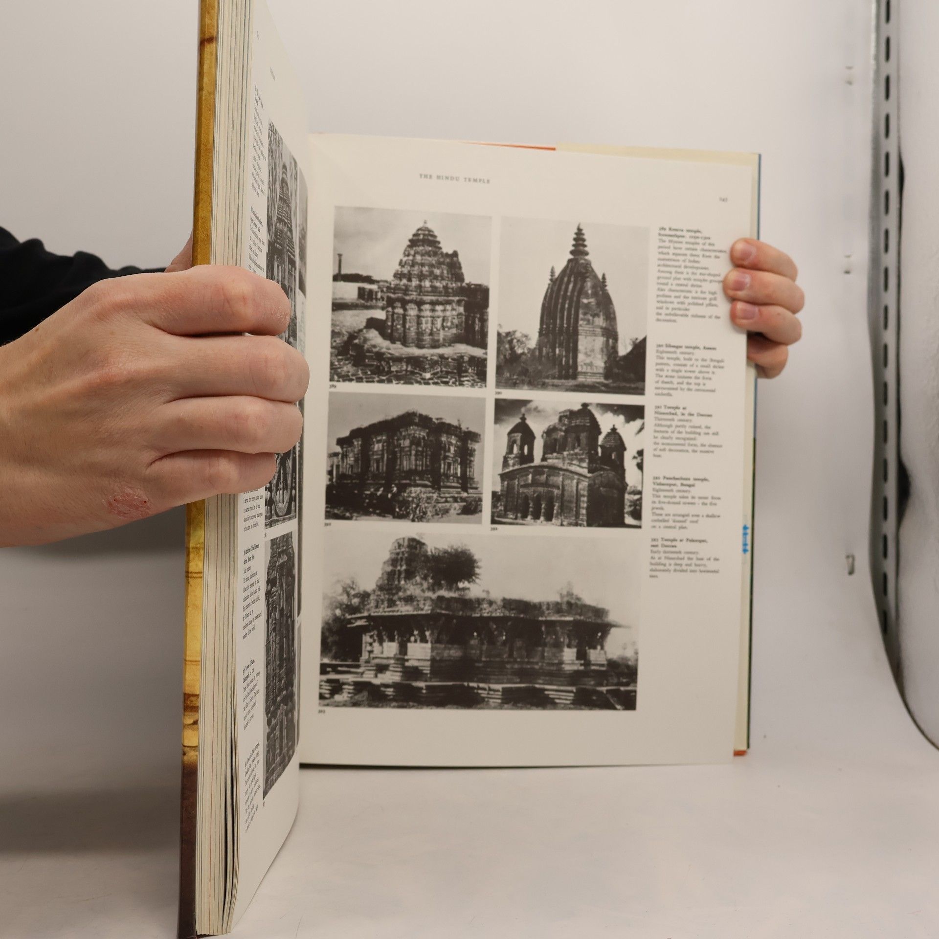 Autorenkollektiv World Architecture