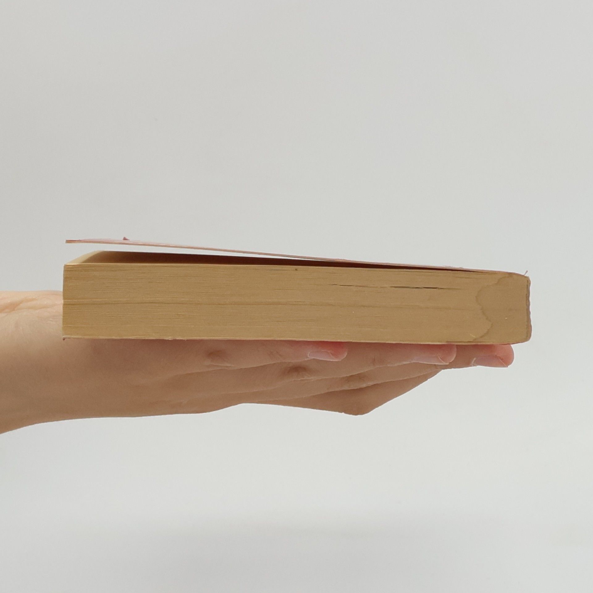 Michael Salewski Zeitgeist und Zeitmaschine, Science-fiction und Geschichte