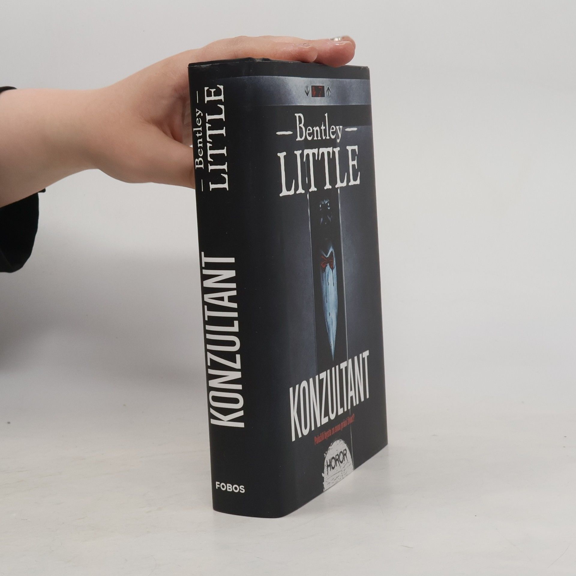 Bentley Little Konzultant