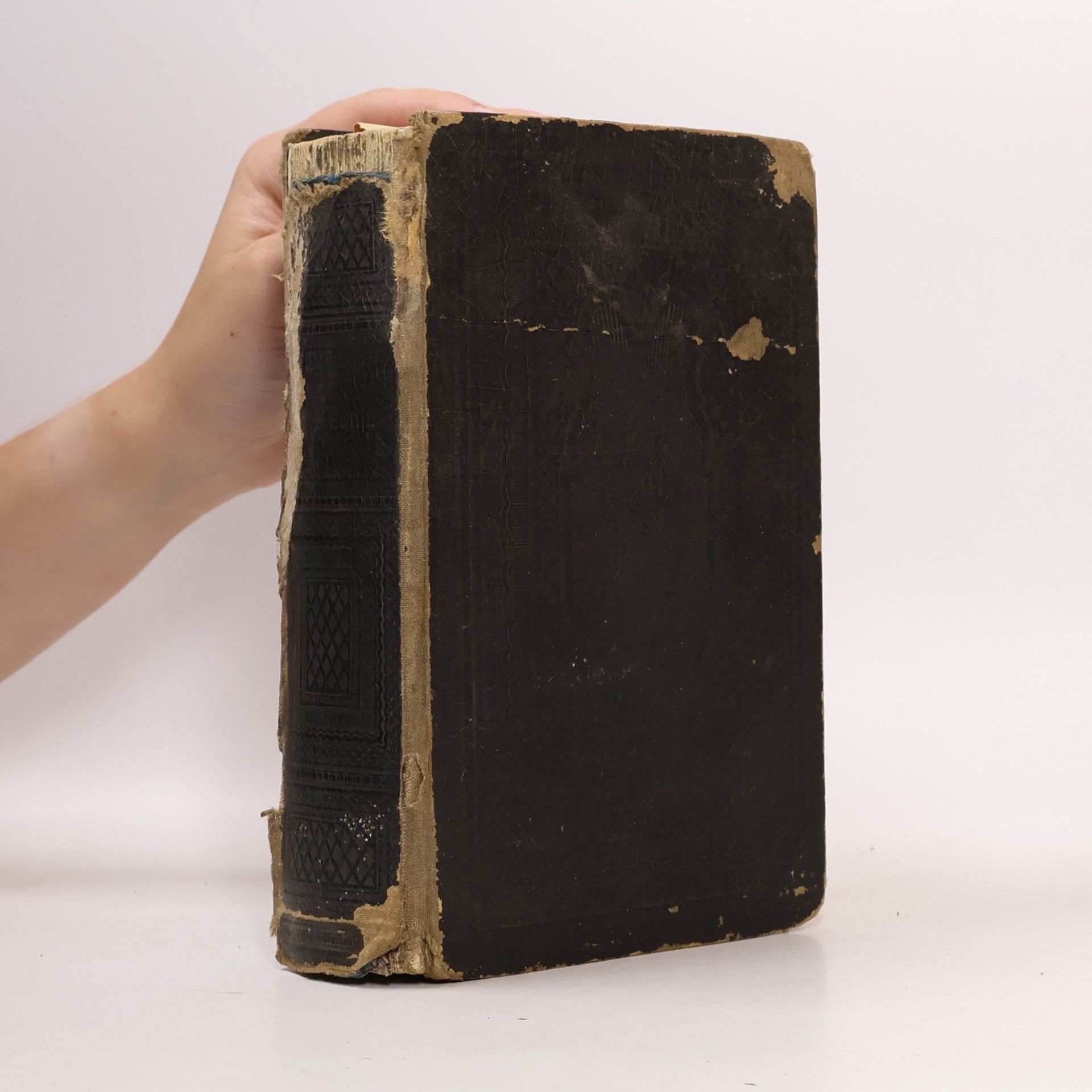 Martin Luther Die Bibel oder die ganze heilige Schrift