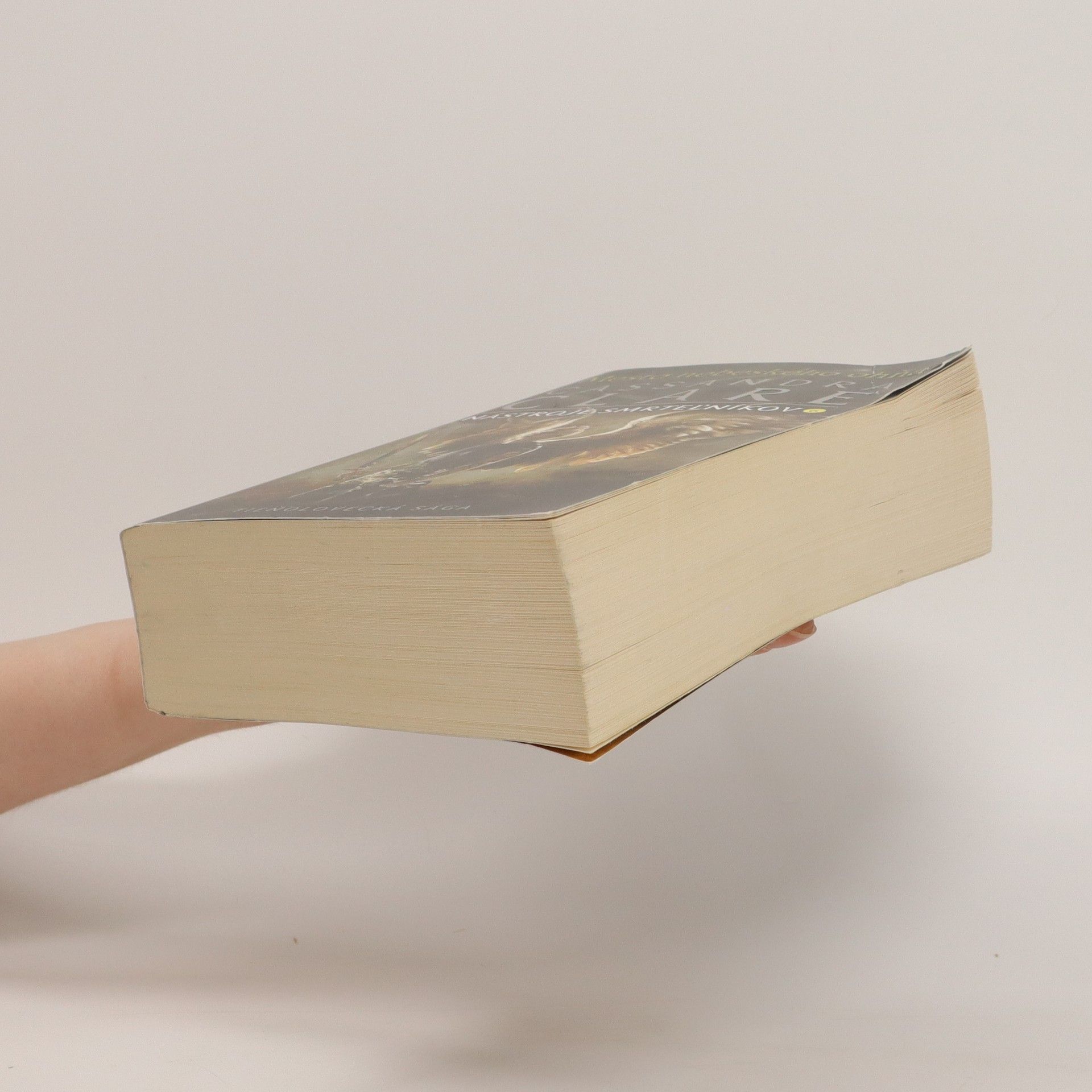 Cassandra Clare Mesto nebeského ohňa