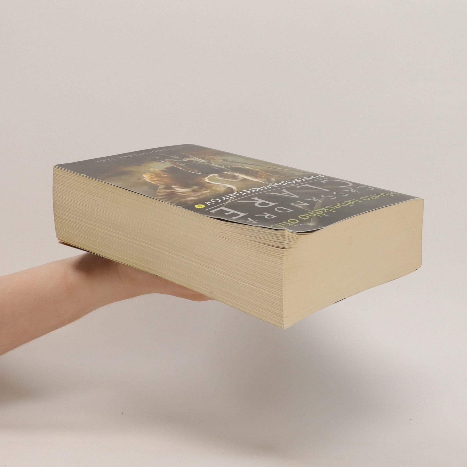 Cassandra Clare Mesto nebeského ohňa