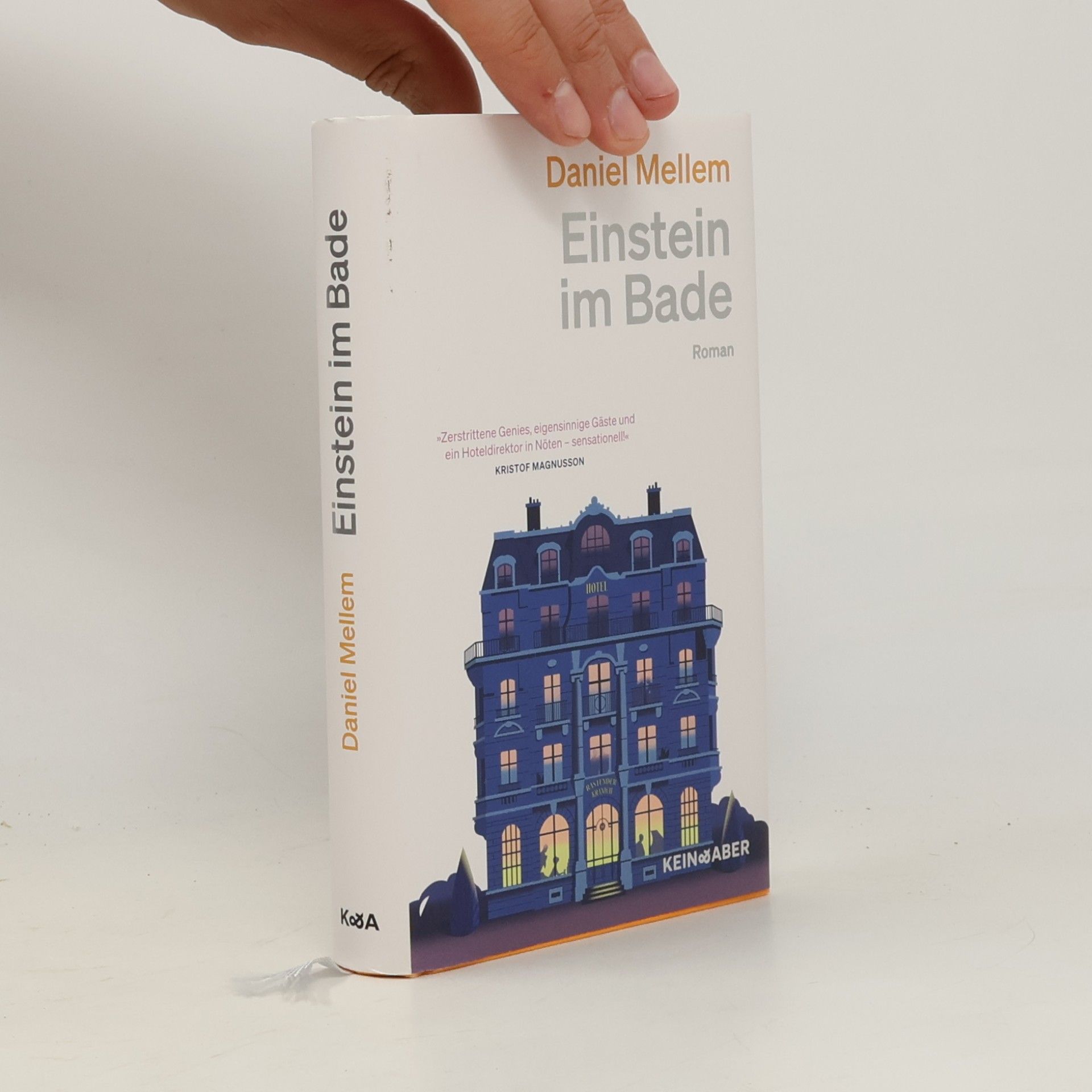 Daniel Mellem Einstein im Bade