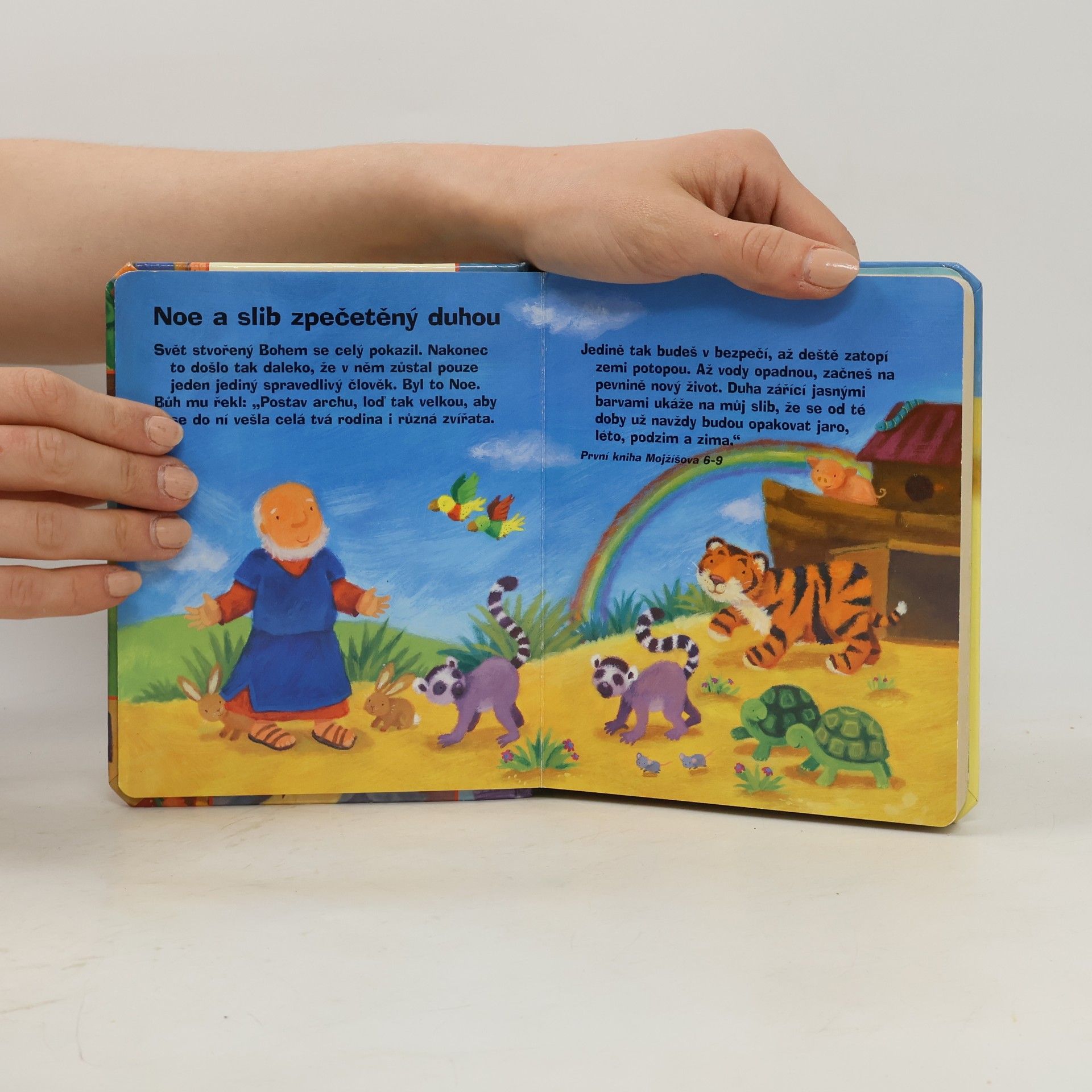 Christina Goodings Moje malá bible
