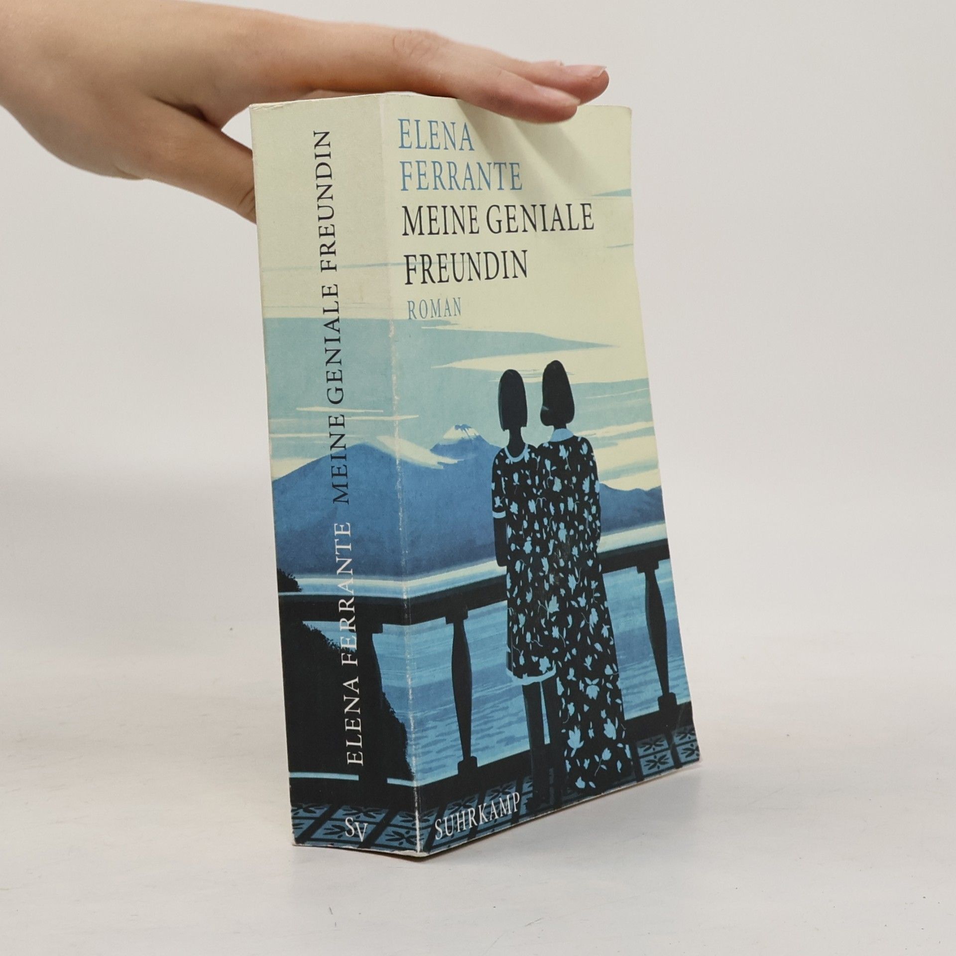 Elena Ferrante Meine geniale Freundin