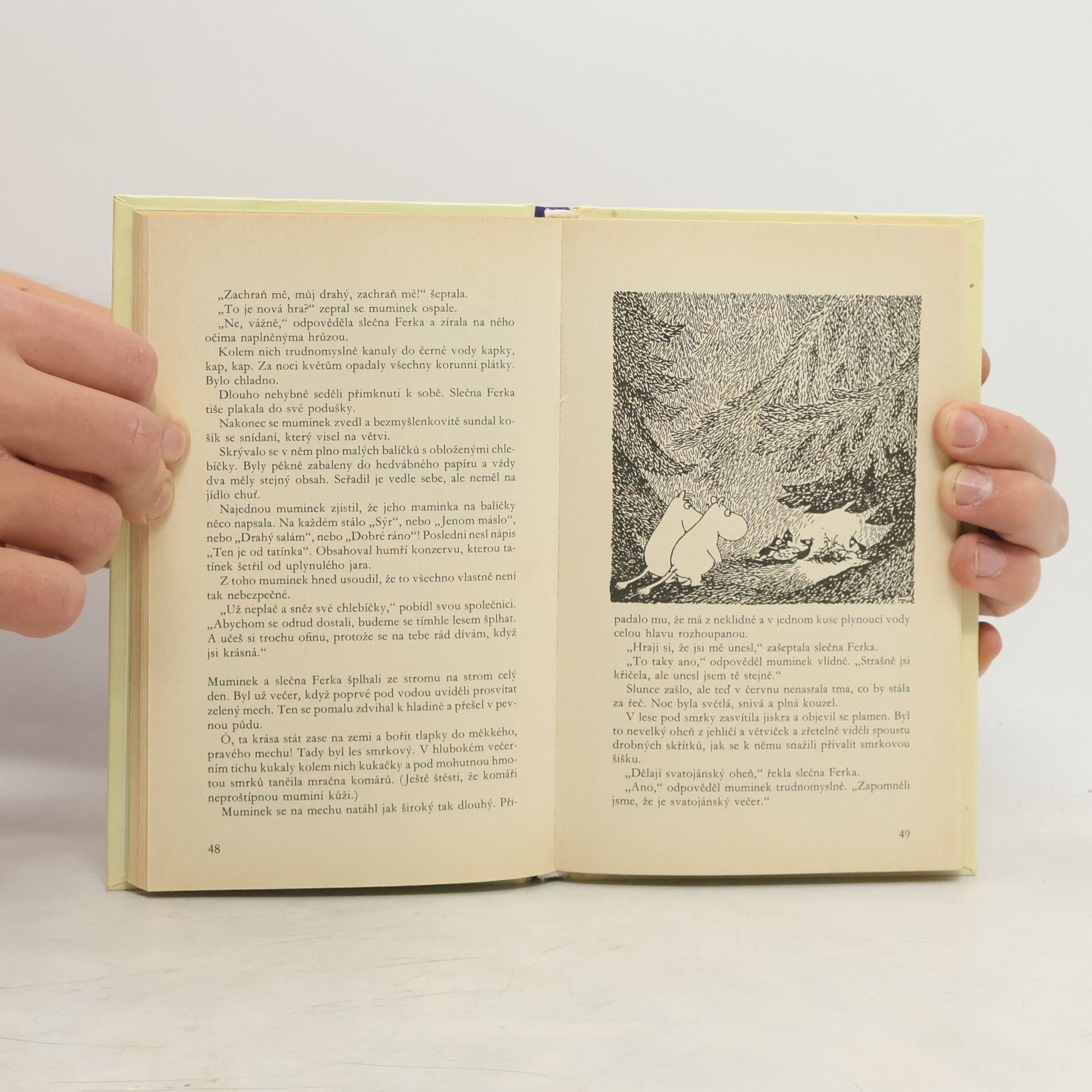 Tove Jansson Bláznivé léto