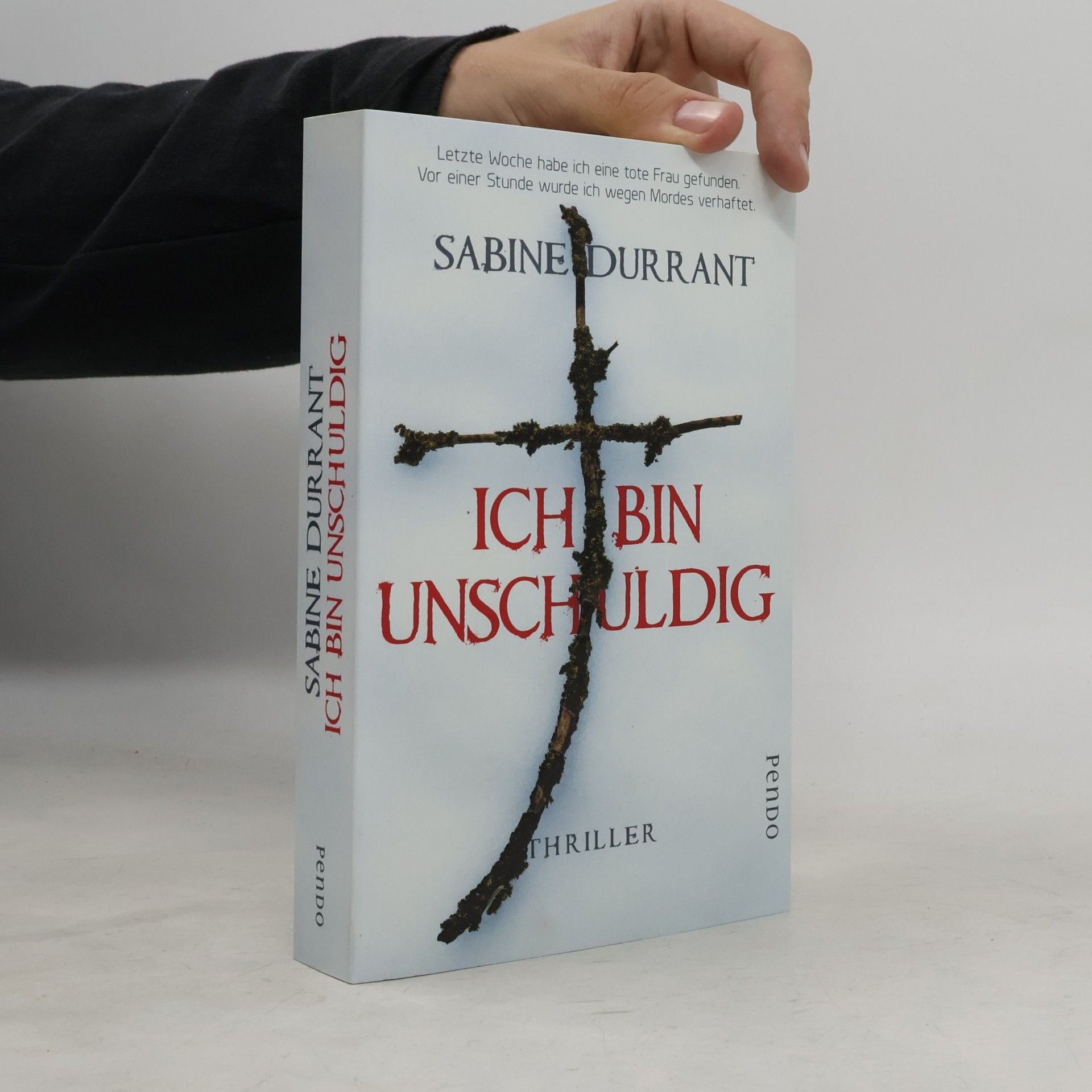 Sabine Durrant Ich bin unschuldig
