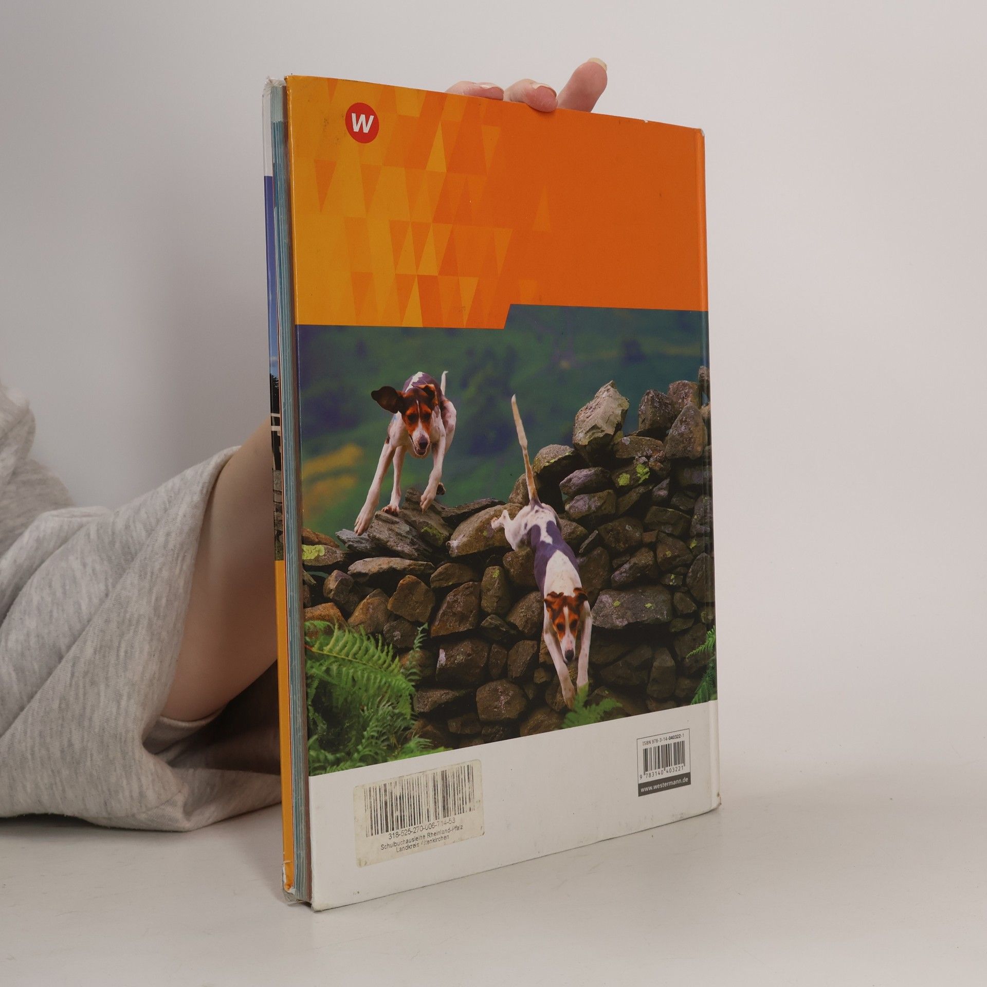 Autorenkollektiv On Track 2 - Englisch für Gymnasien