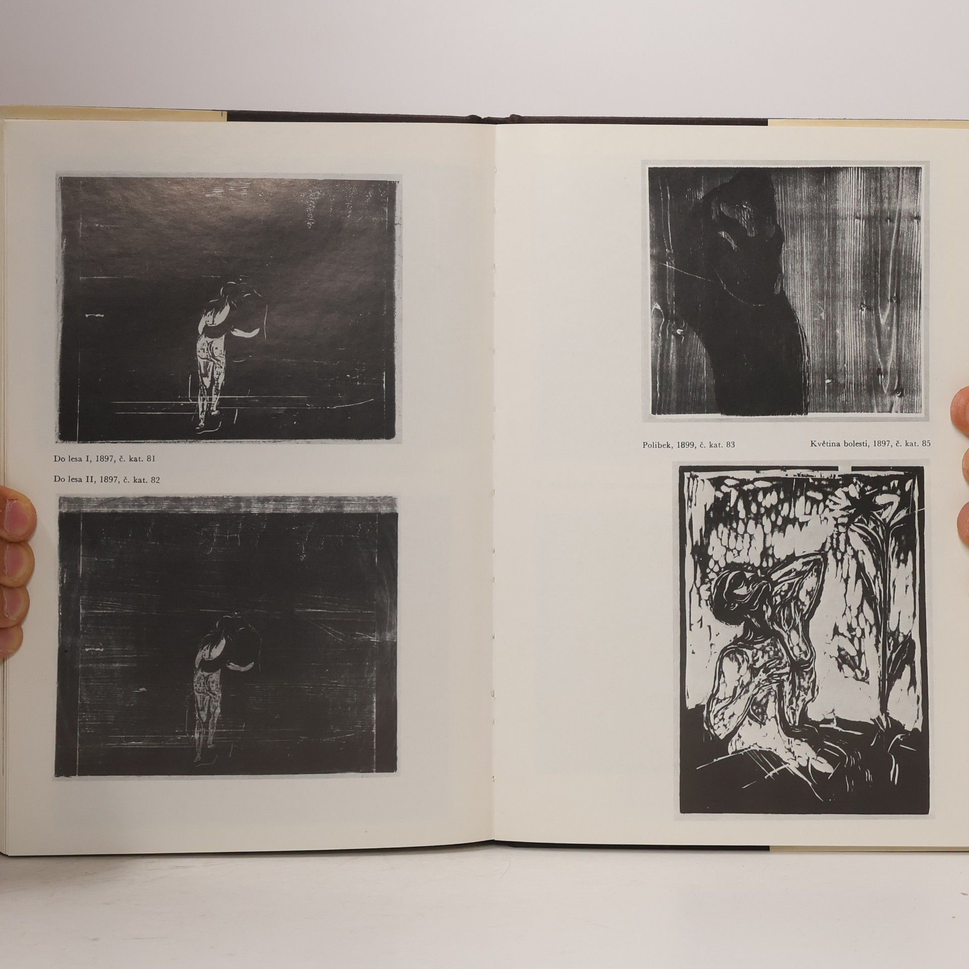 Jiří T. Kotalík Edvard Munch a české umění