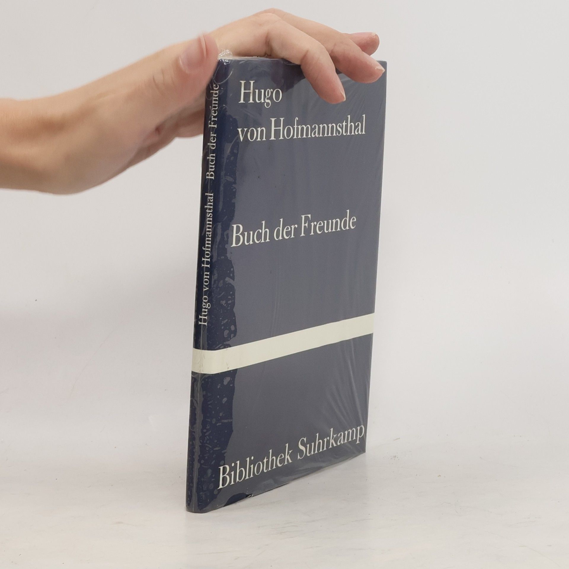 Hugo von Hofmannsthal Buch der Freunde
