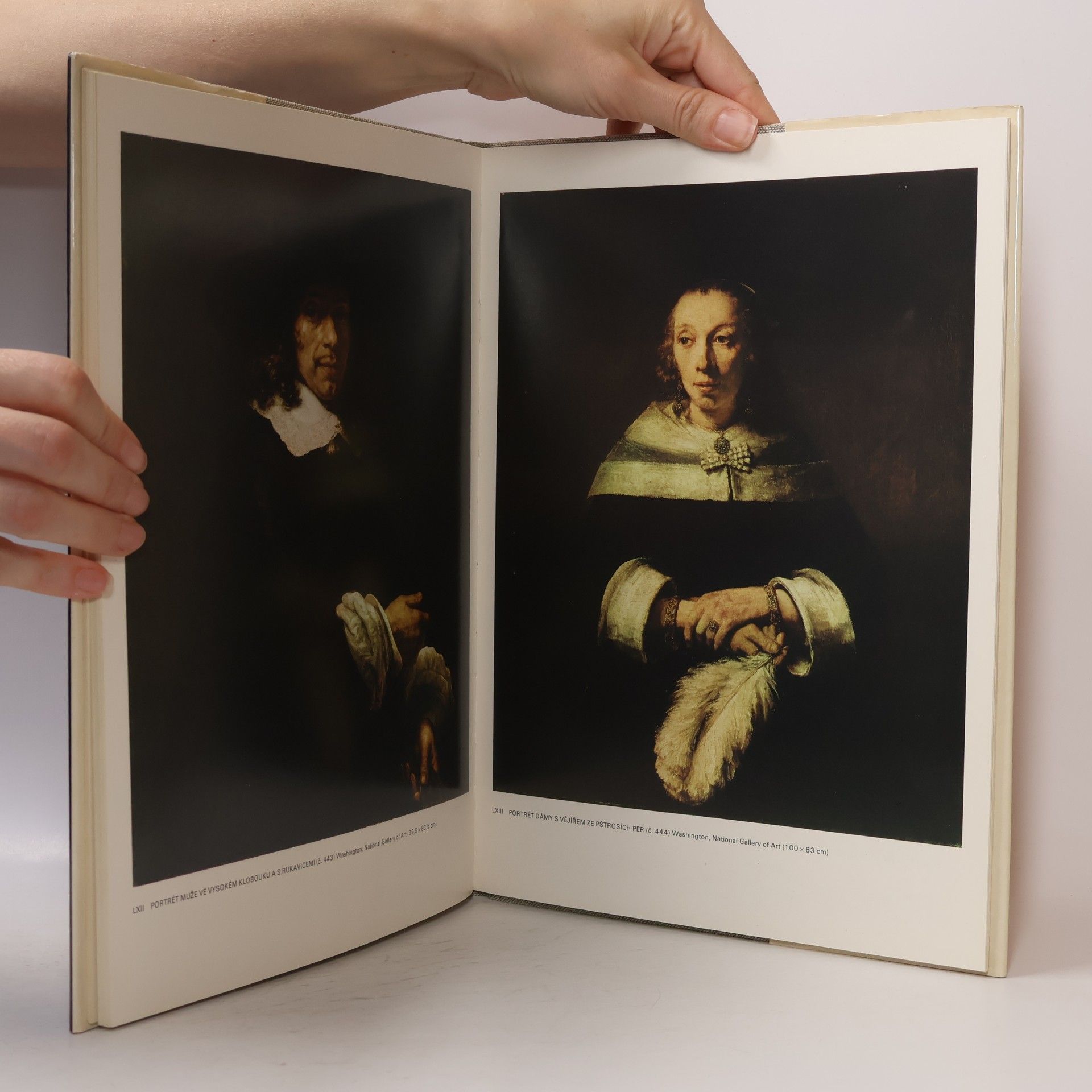 Giovanni Arpino Rembrandt