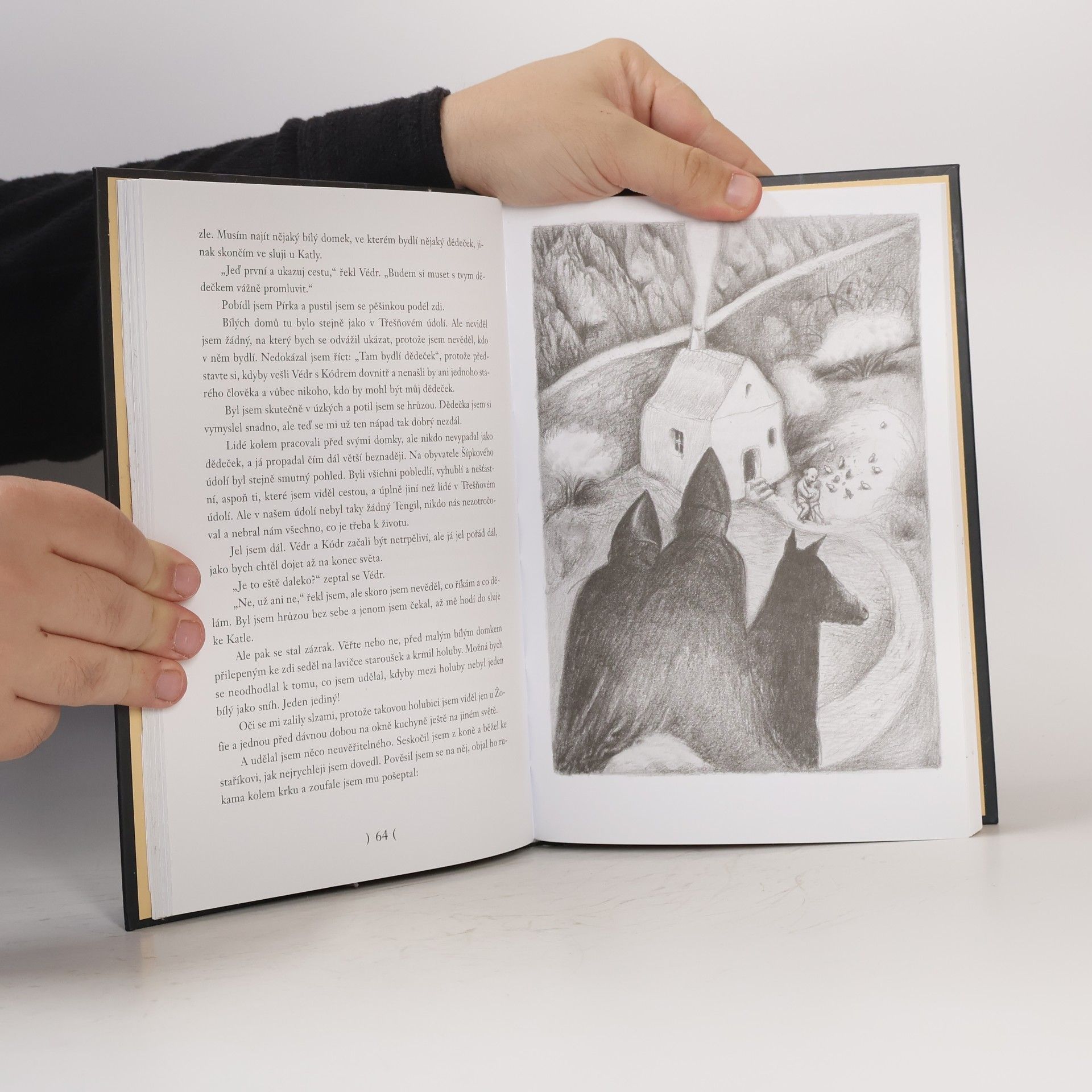 Astrid Lindgren Bratři Lví srdce