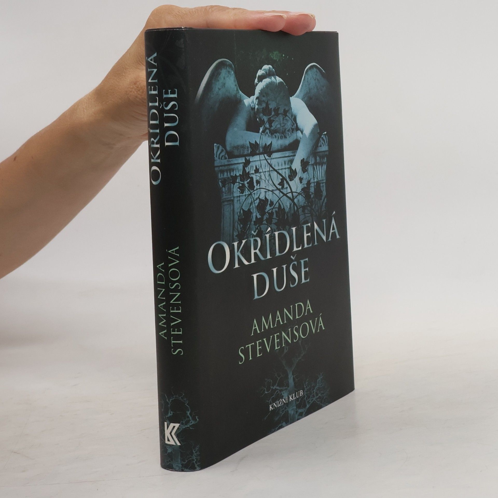 Amanda Stevens Okřídlená duše