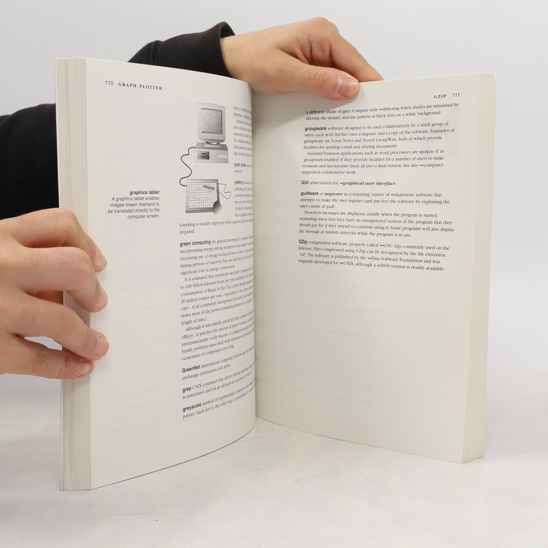The Hutchinson Dictionary of Computing, Multimedia and the Internet