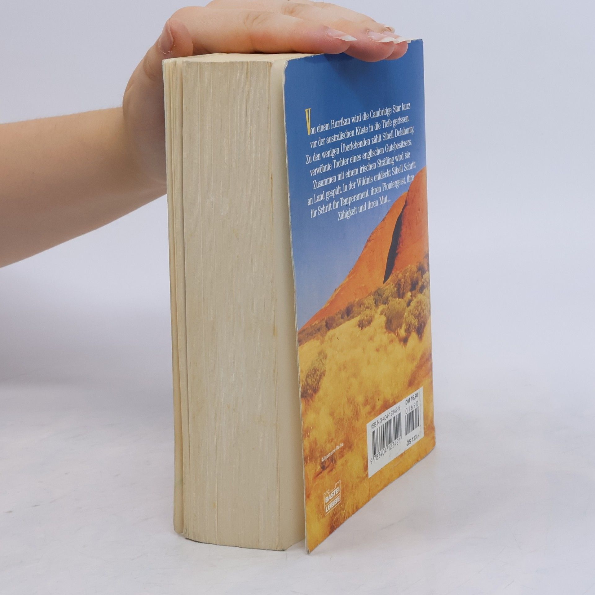 Patricia Shaw Weites wildes Land