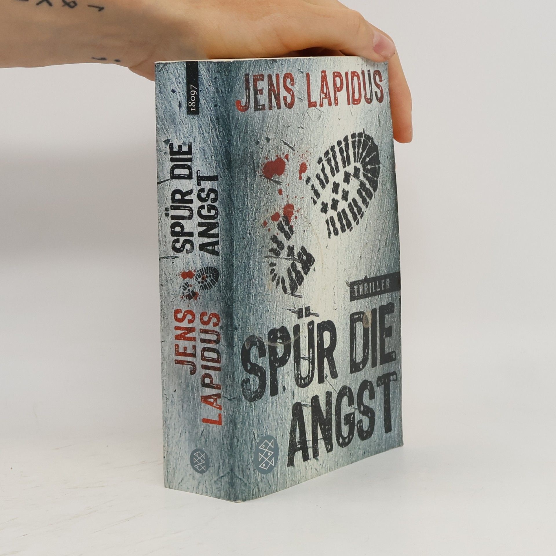Jens Lapidus Spür die Angst