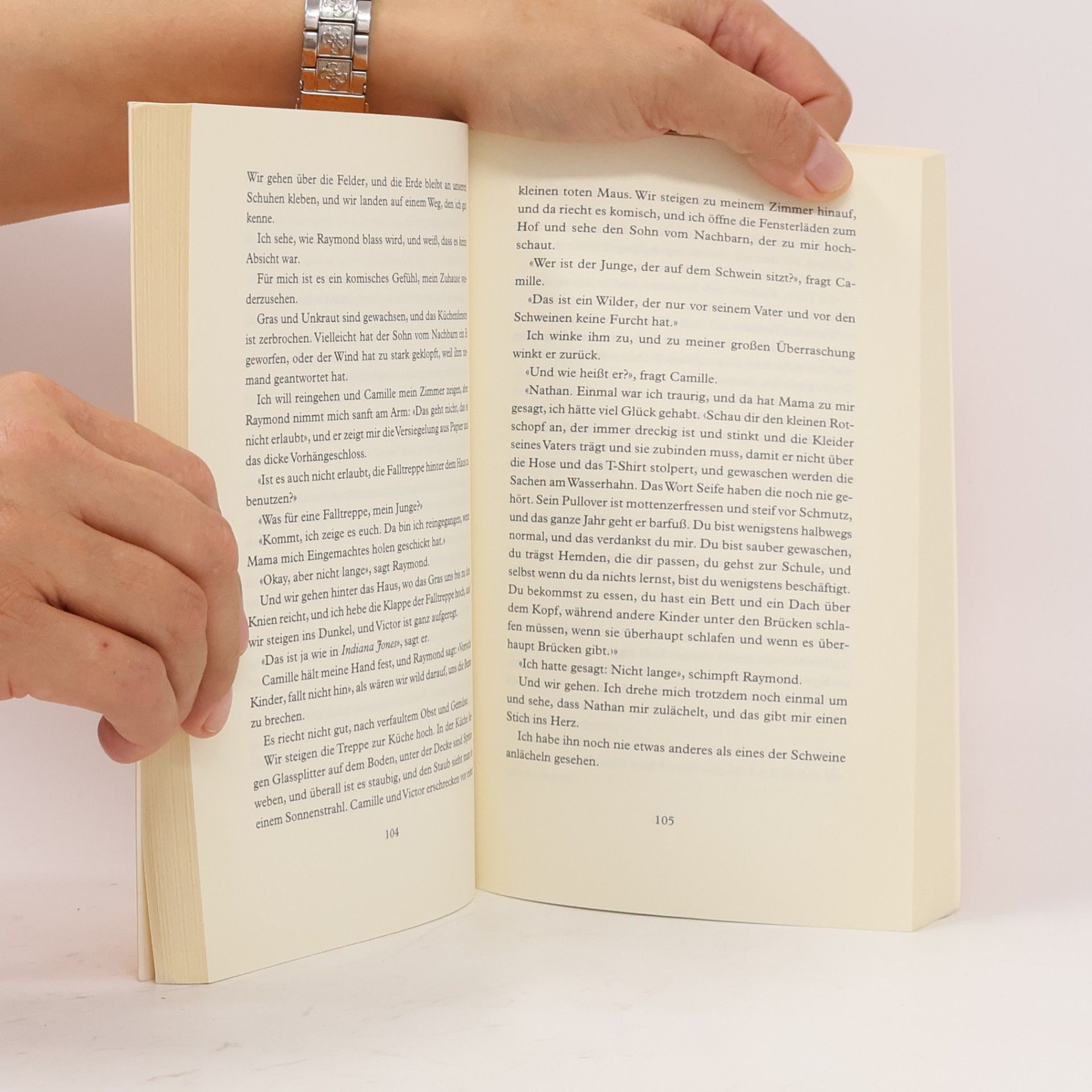 Gilles Paris Autobiografie einer Pflaume