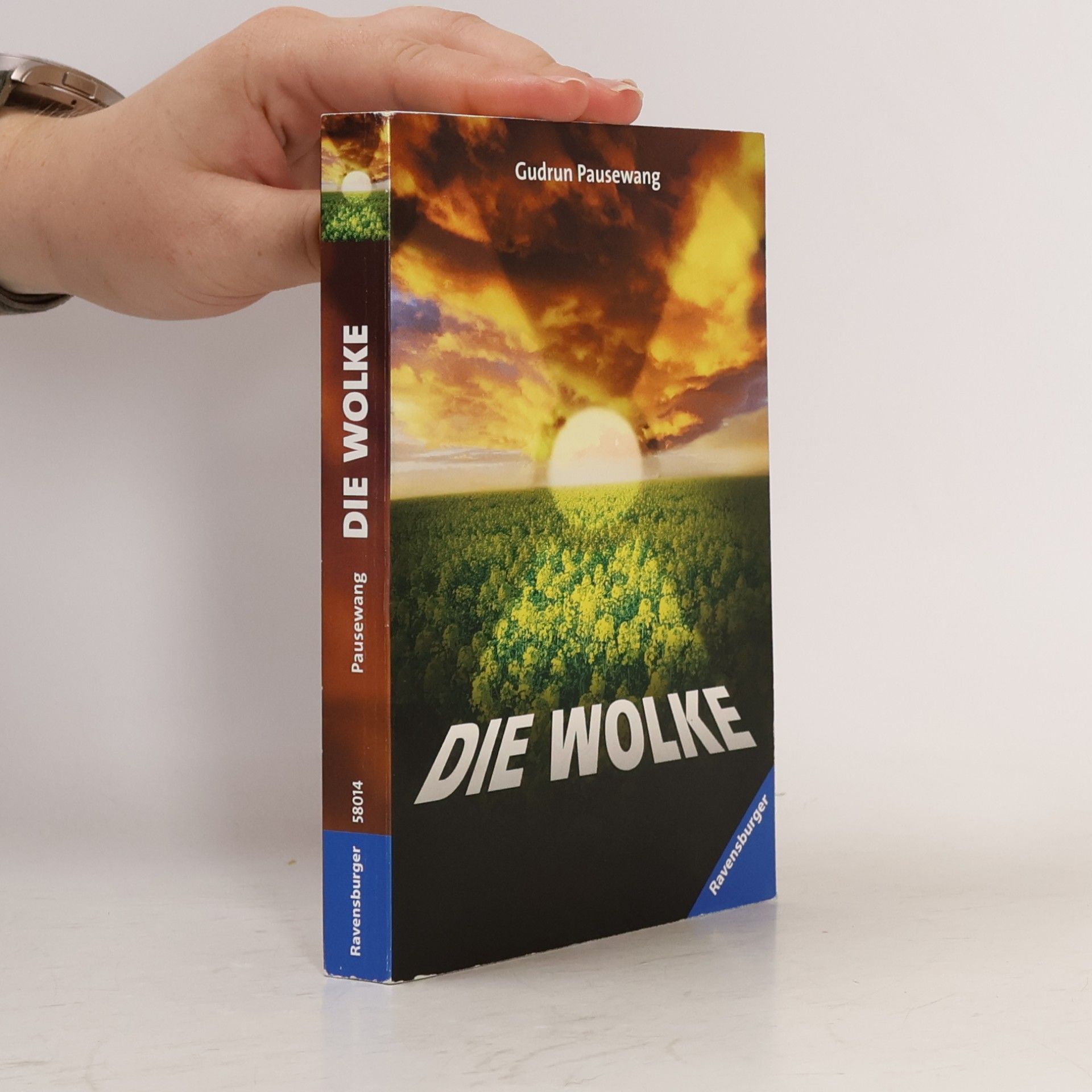 Gudrun Pausewang Die Wolke