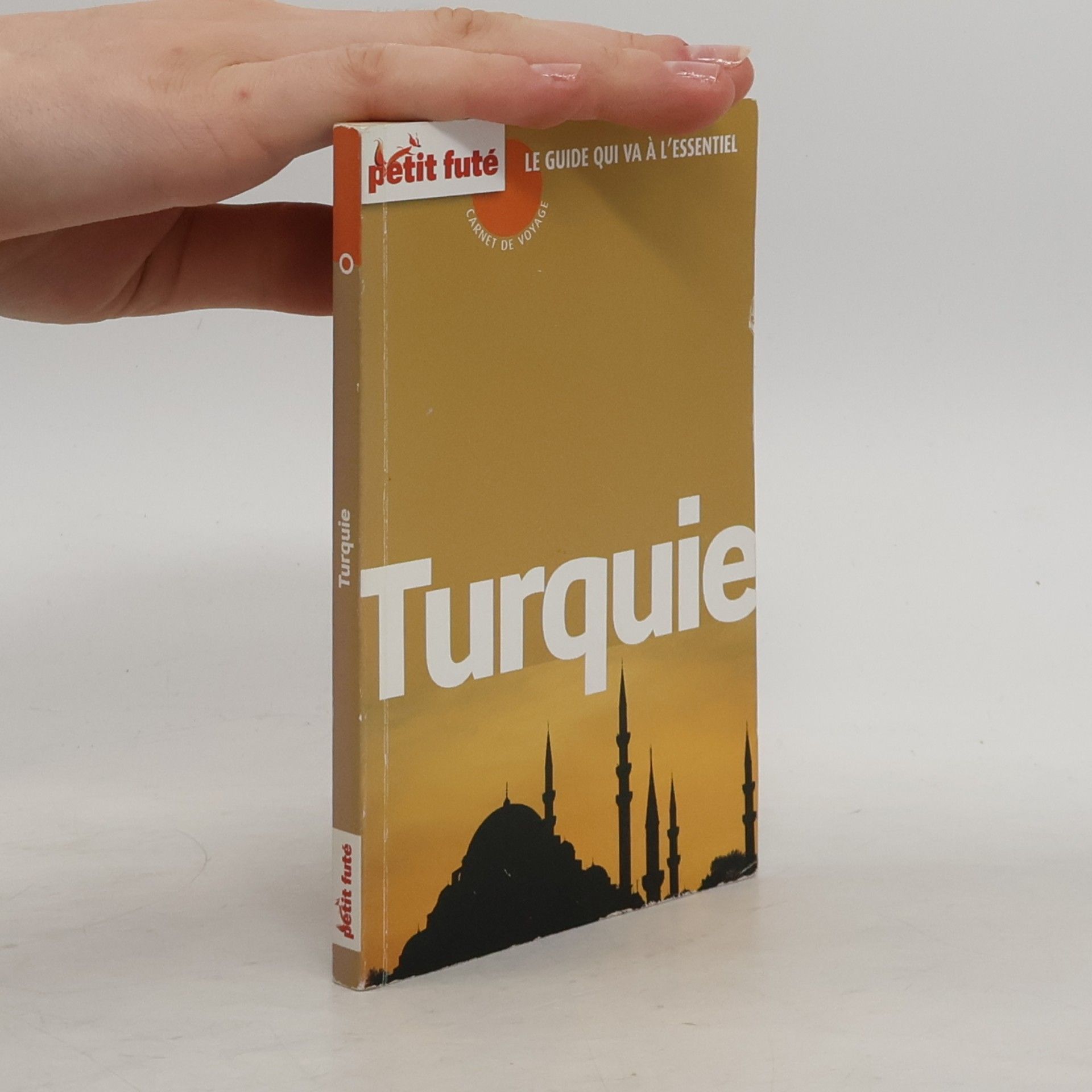 Christophe Berthelier Petit Futé: Turquie