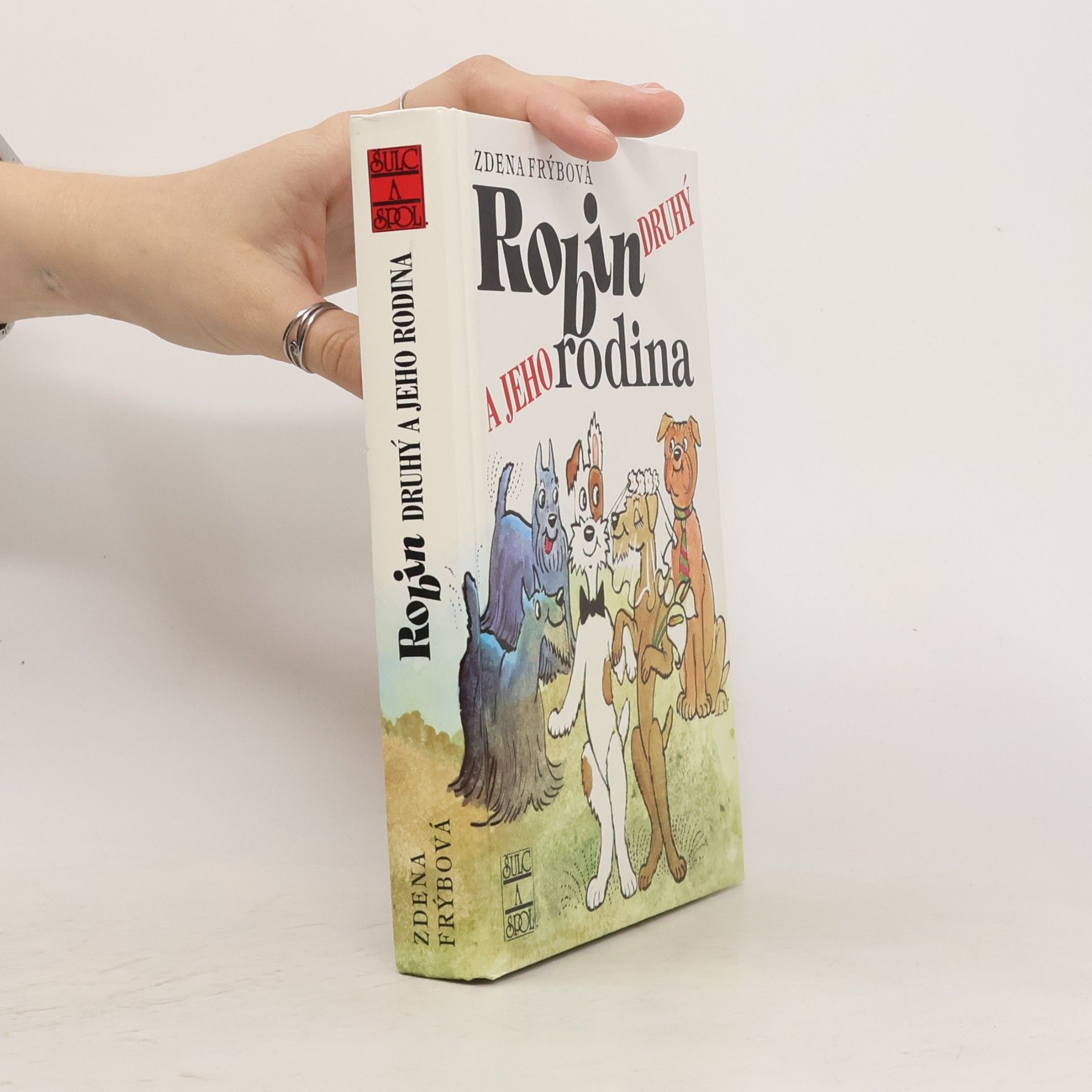 Zdena Frýbová Robin Druhý a jeho rodina