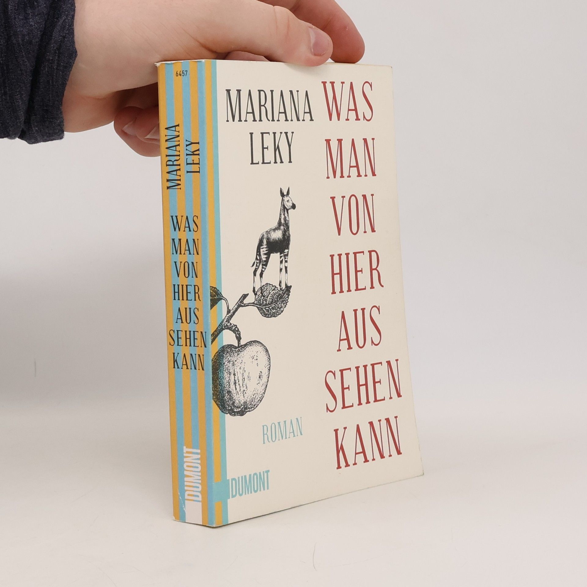 Mariana Leky Was man von hier aus sehen kann