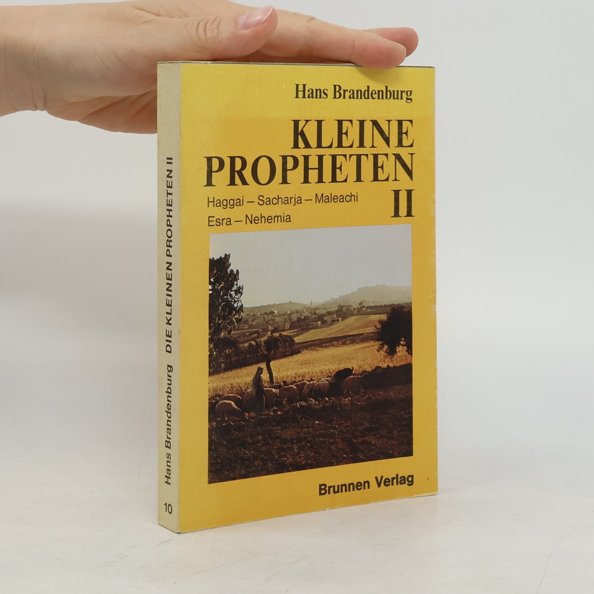 Kleine Propheten II