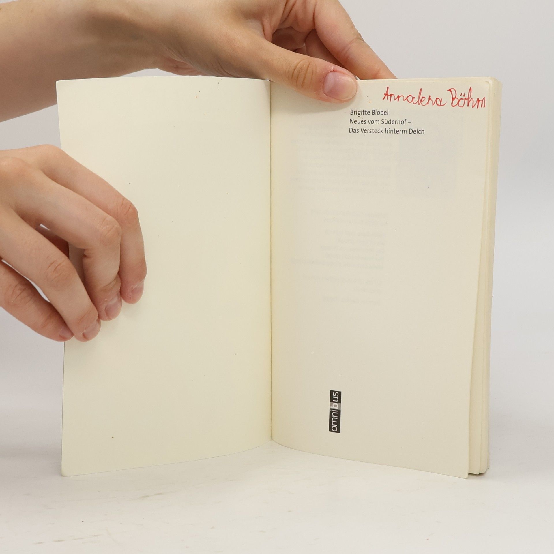 Brigitte Blobelová Neues vom Süderhof - 1: Das Versteck hinterm Deich