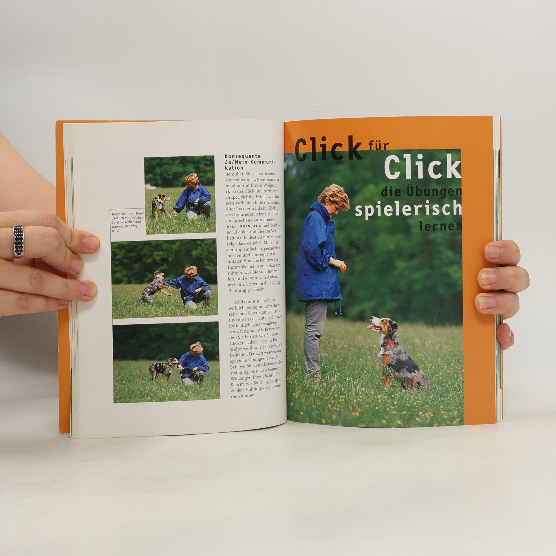Martin Pietralla Clickertraining für Welpen