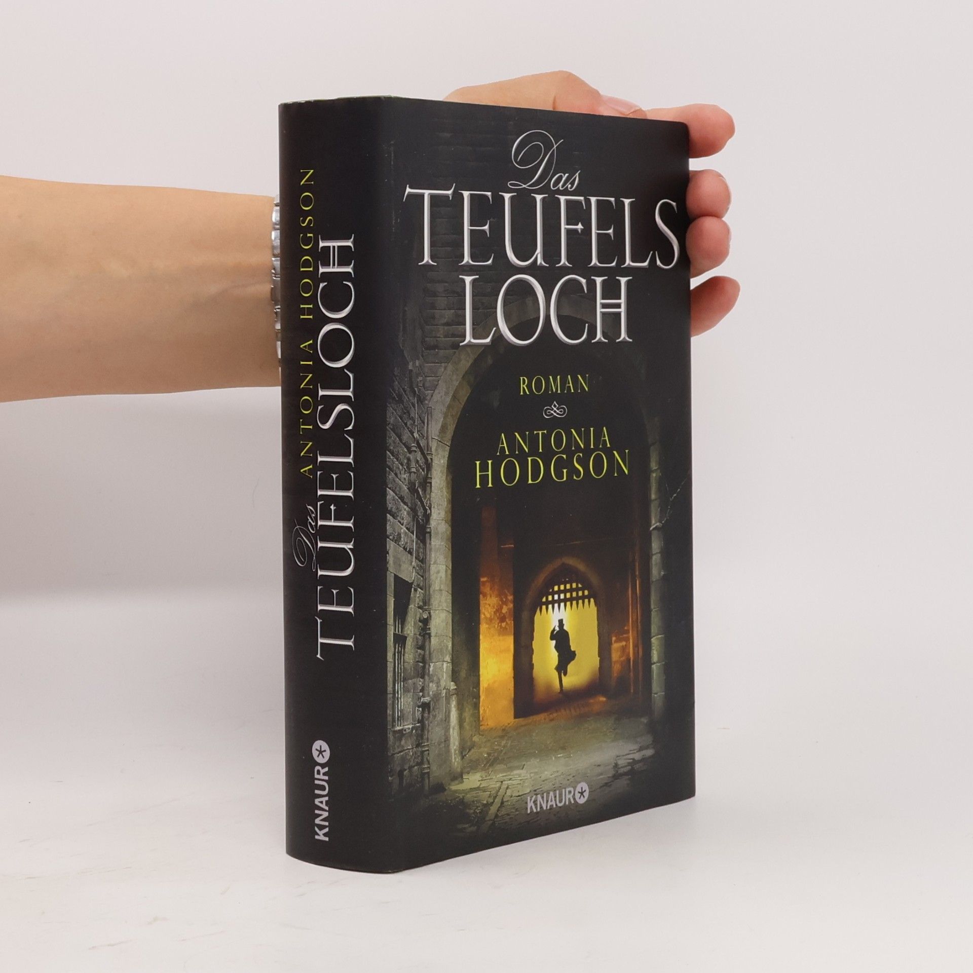 Antonia Hodgson Das Teufelsloch