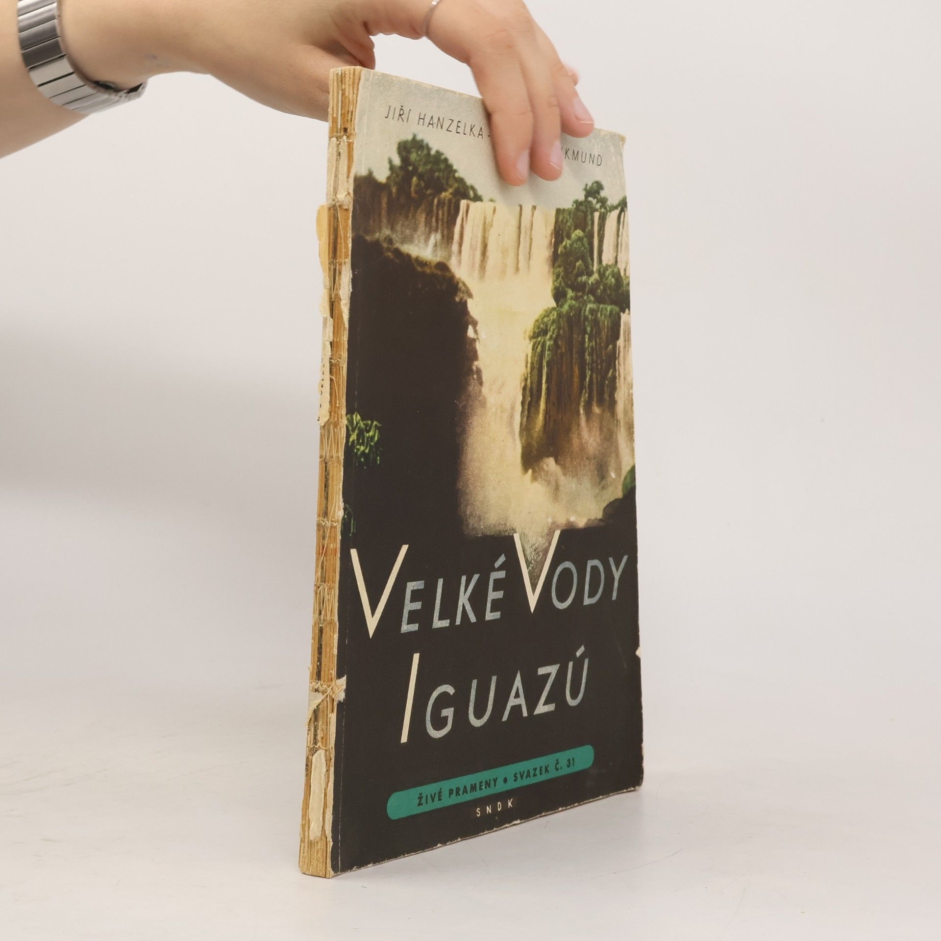 Velké vody Iguazú