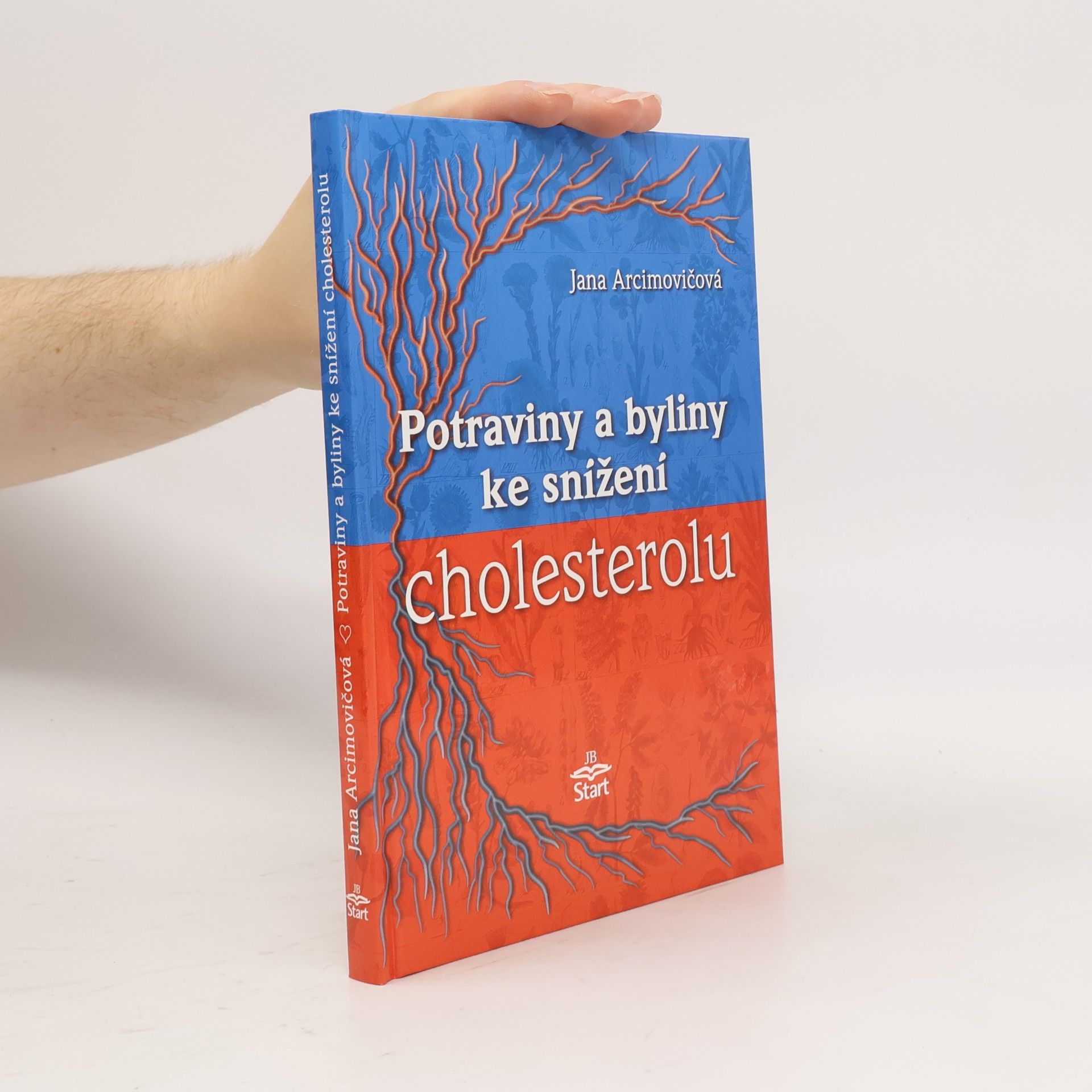 Potraviny a byliny ke snížení cholesterolu