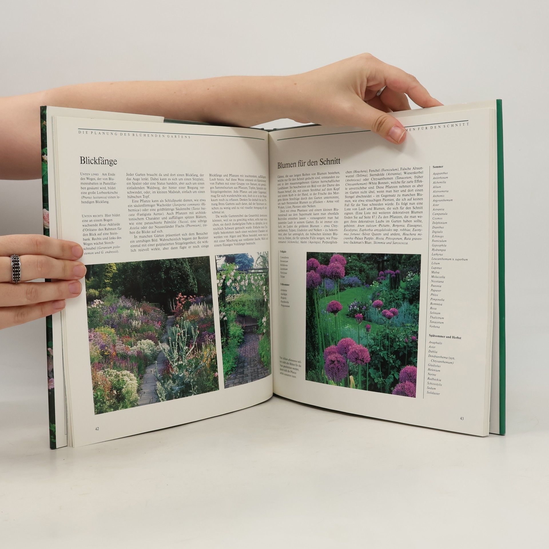 Helen Dillon Der blühende Garten