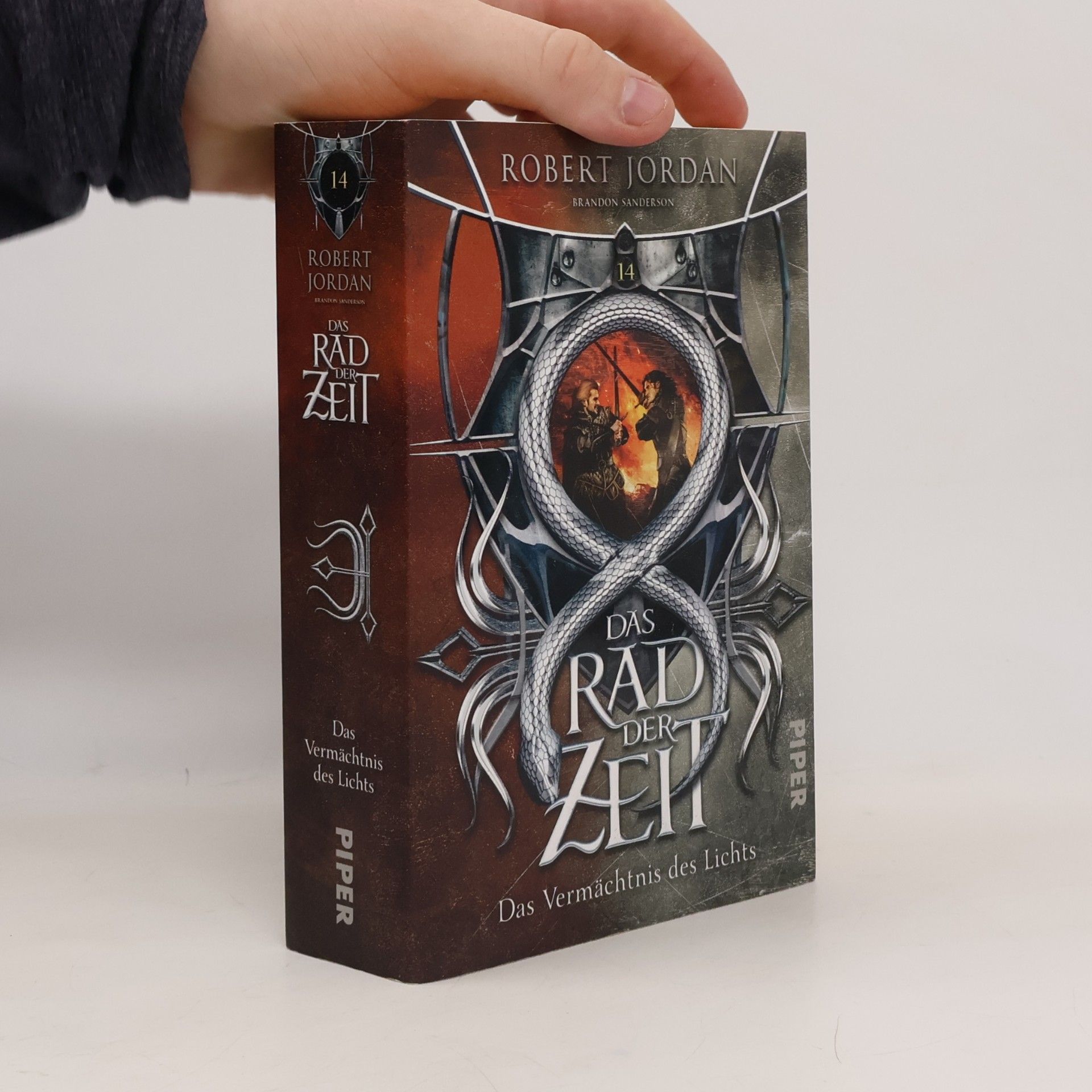 Robert Jordan Das Rad der Zeit 14