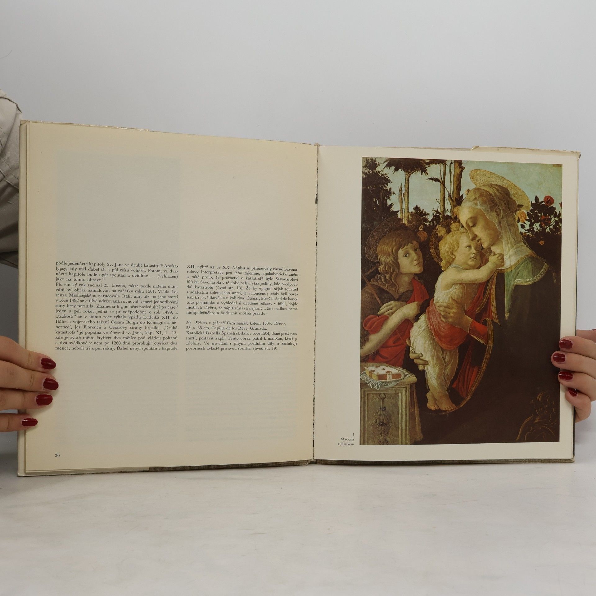 Bettina Wadia Botticelli