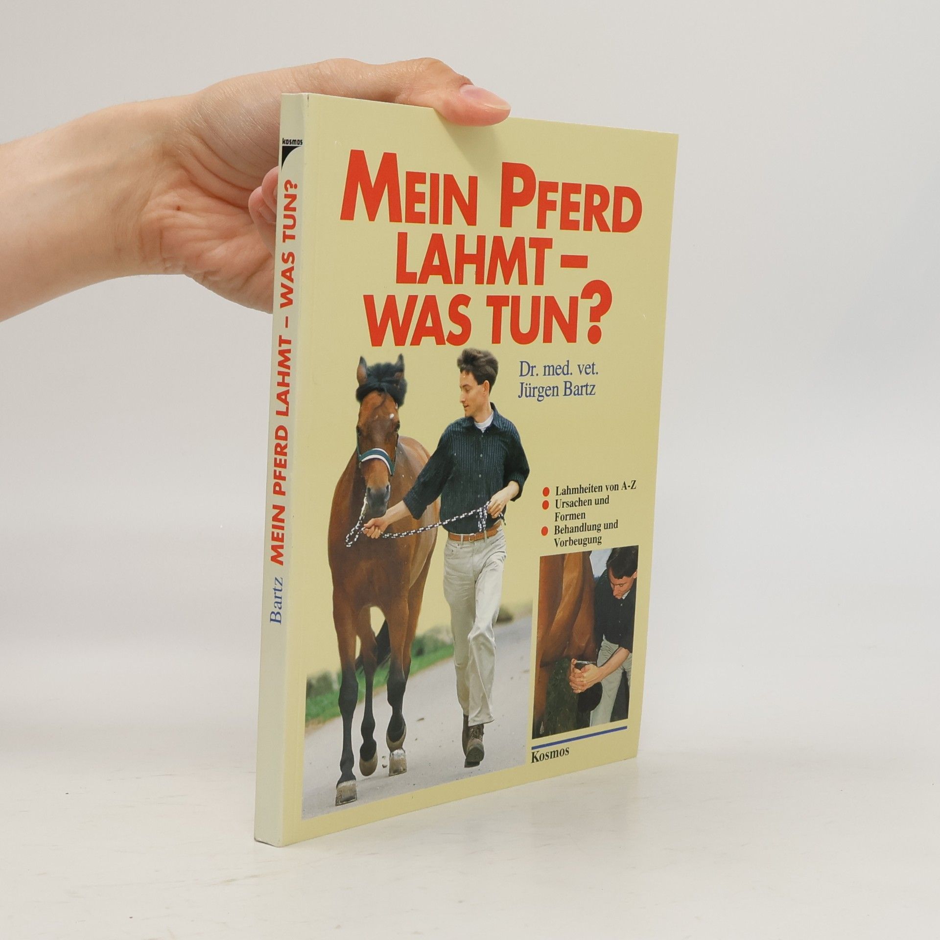 Mein Pferd lahmt - was tun?