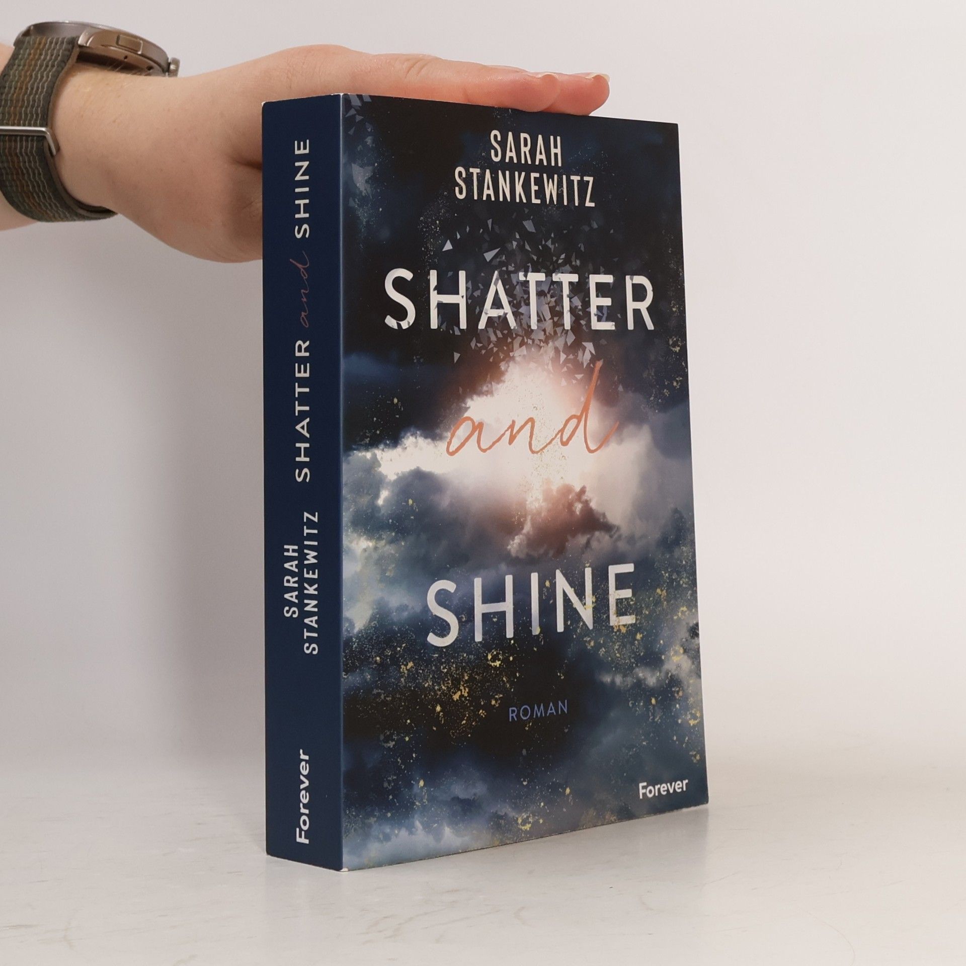 Sarah Stankewitz Shatter and shine