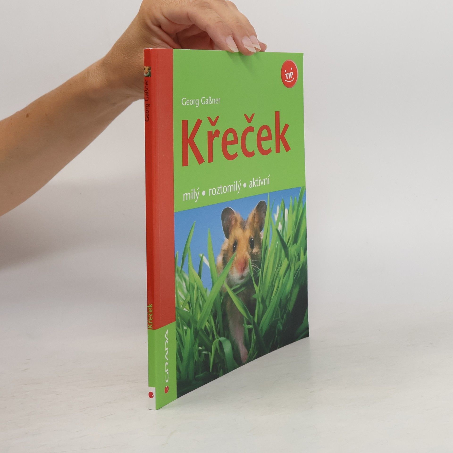 Křeček : milý, roztomilý, aktivní